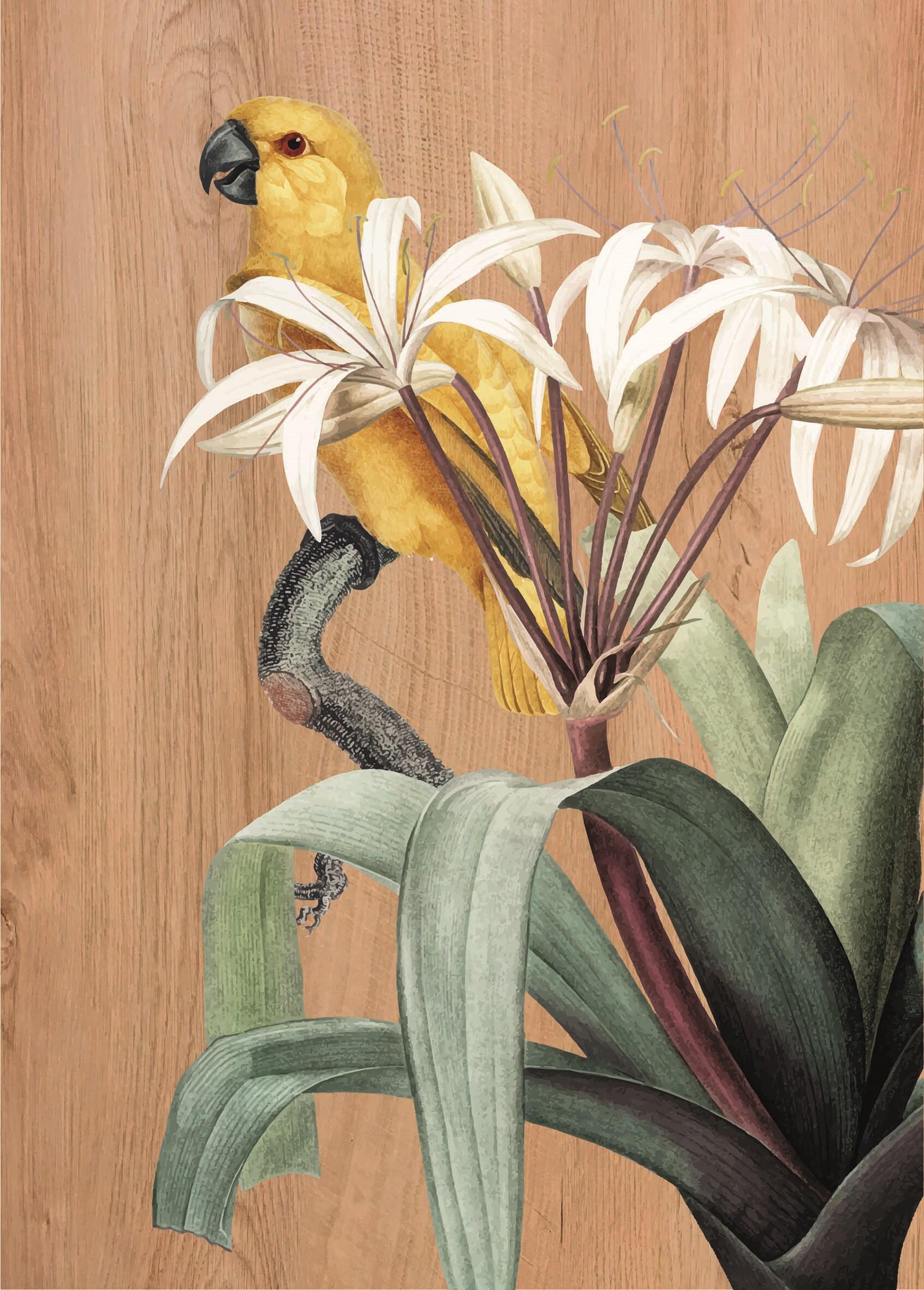Objeto decorativo sin marco Animales rectangular de 30 x 42 cm. MDF Parrots 2 marrón - 2