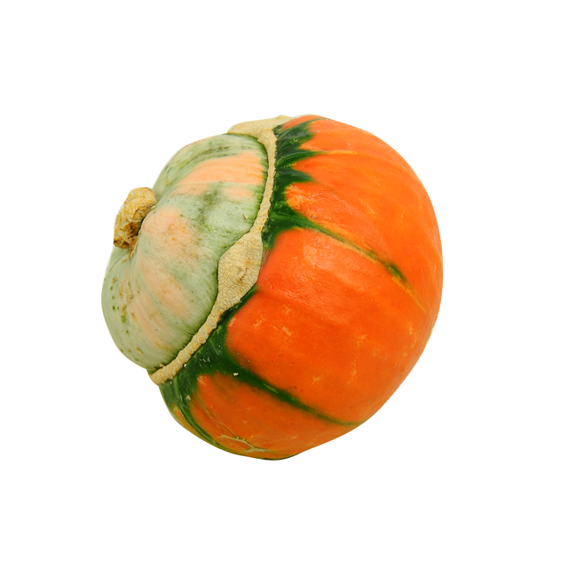 Dynia ozdobna Mini Red Turban 9-11 cm