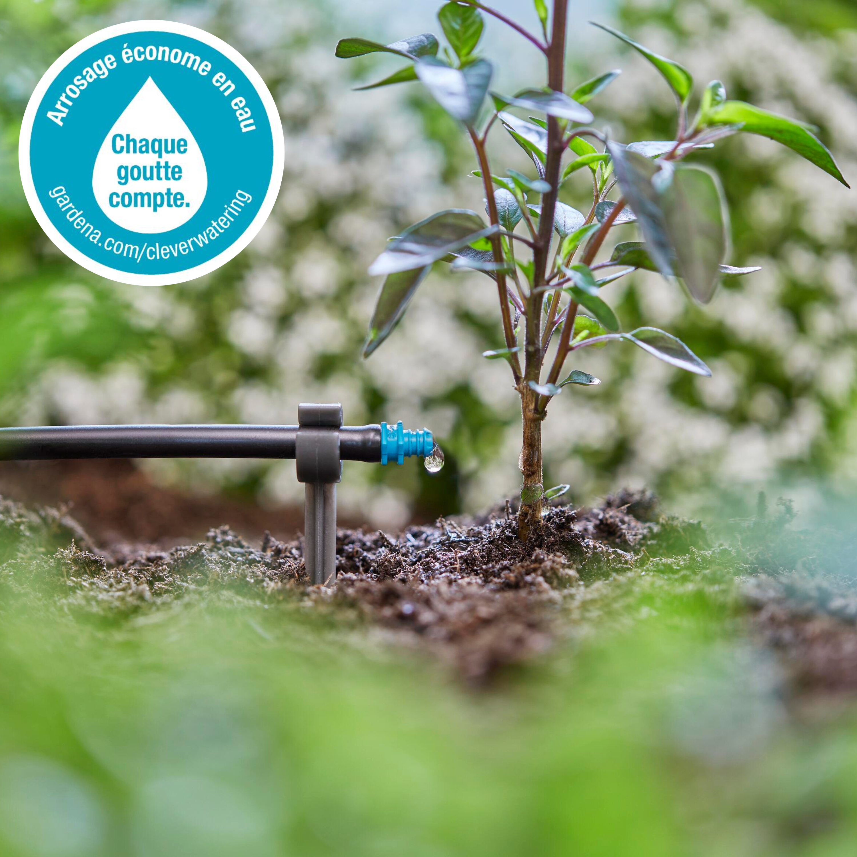 Arrosage goutte à goutte et économie d'eau Gardena
 - 0