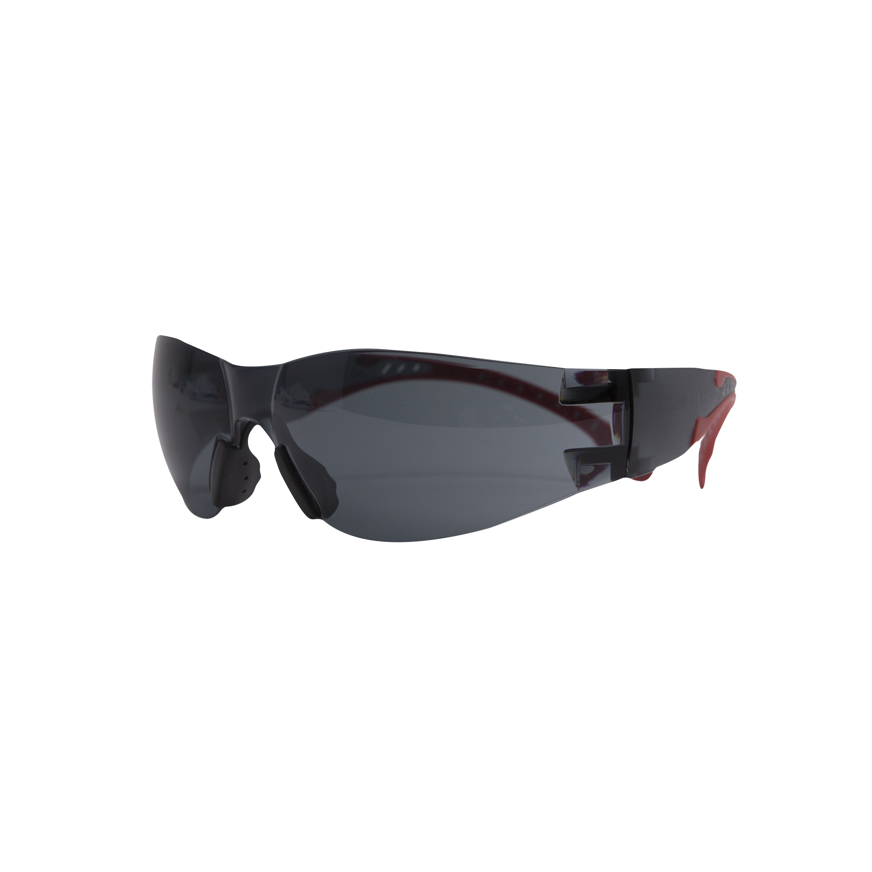 Surlunettes DEXTER, verres teinté antirayures Leroy Merlin