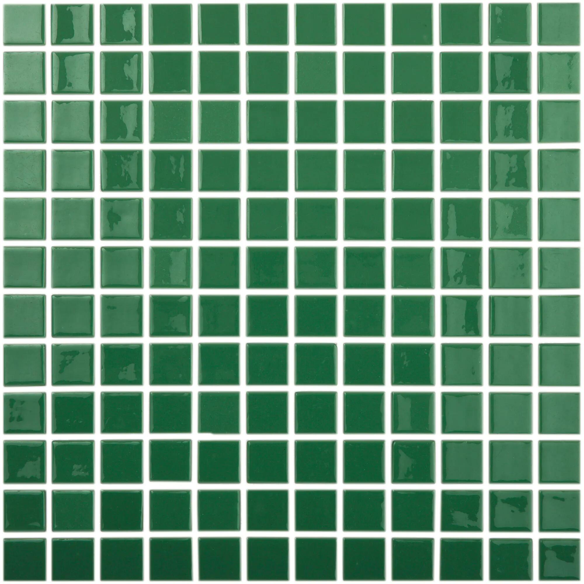 Gresite liso puntos brillante 39.6x31.5 cm verde