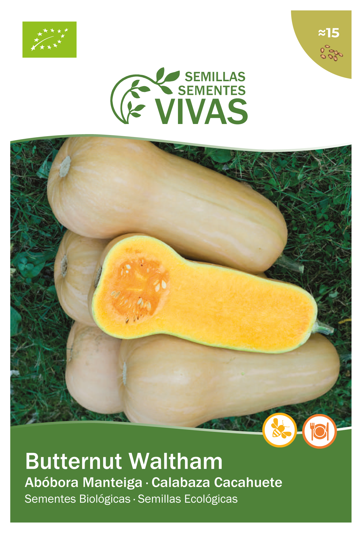 Semente de abóbora BUTTERNUT WALTHAM BIO PT - 3