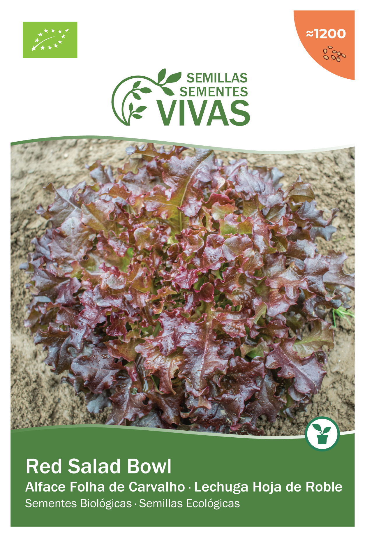 Semente de alface RED SALAD BOWL BIO 0,5G - 3