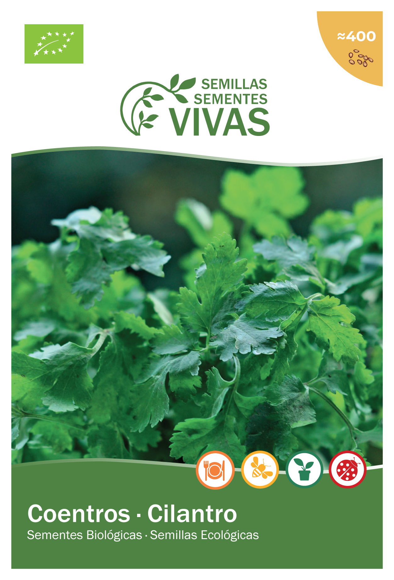 Semente de coentros BIO 4G - 3