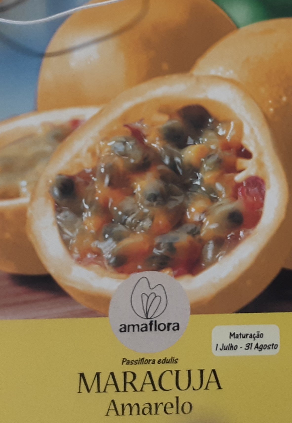 Maracujá AMARELO - 2