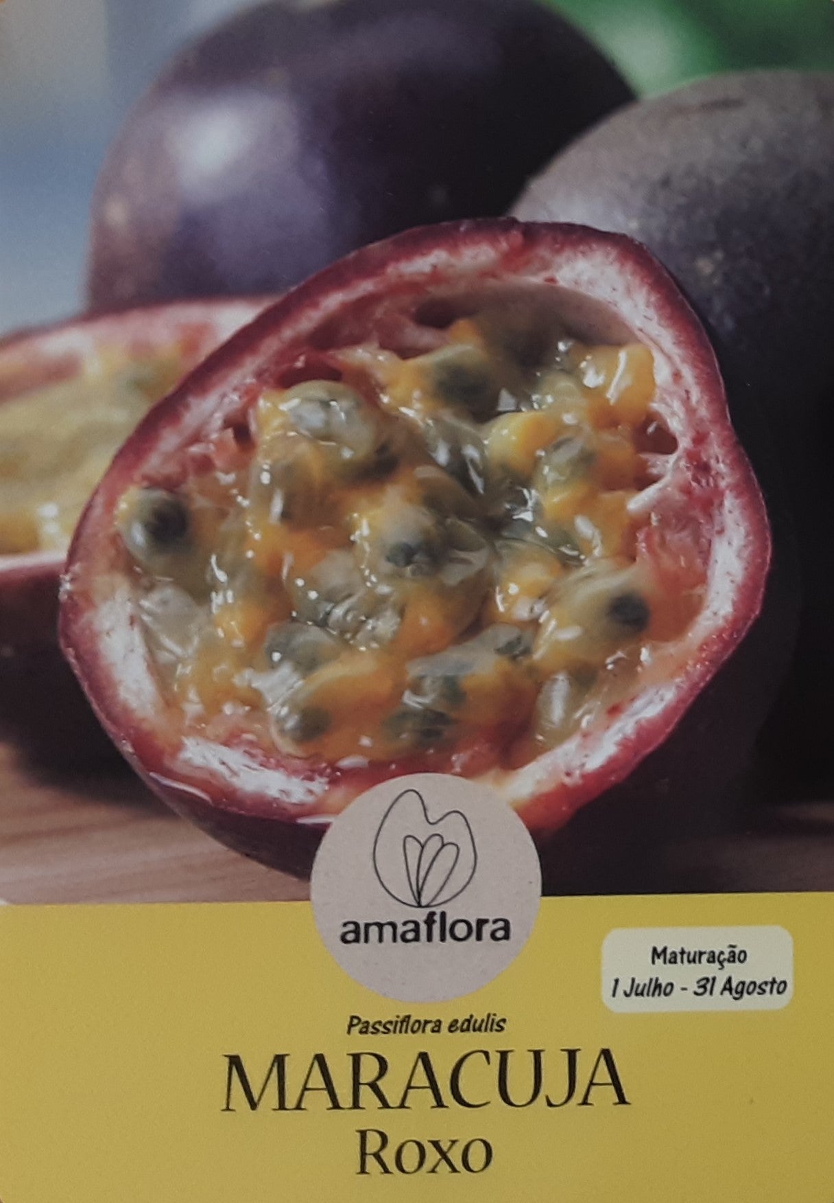 Maracujá ÁRVORE - 2