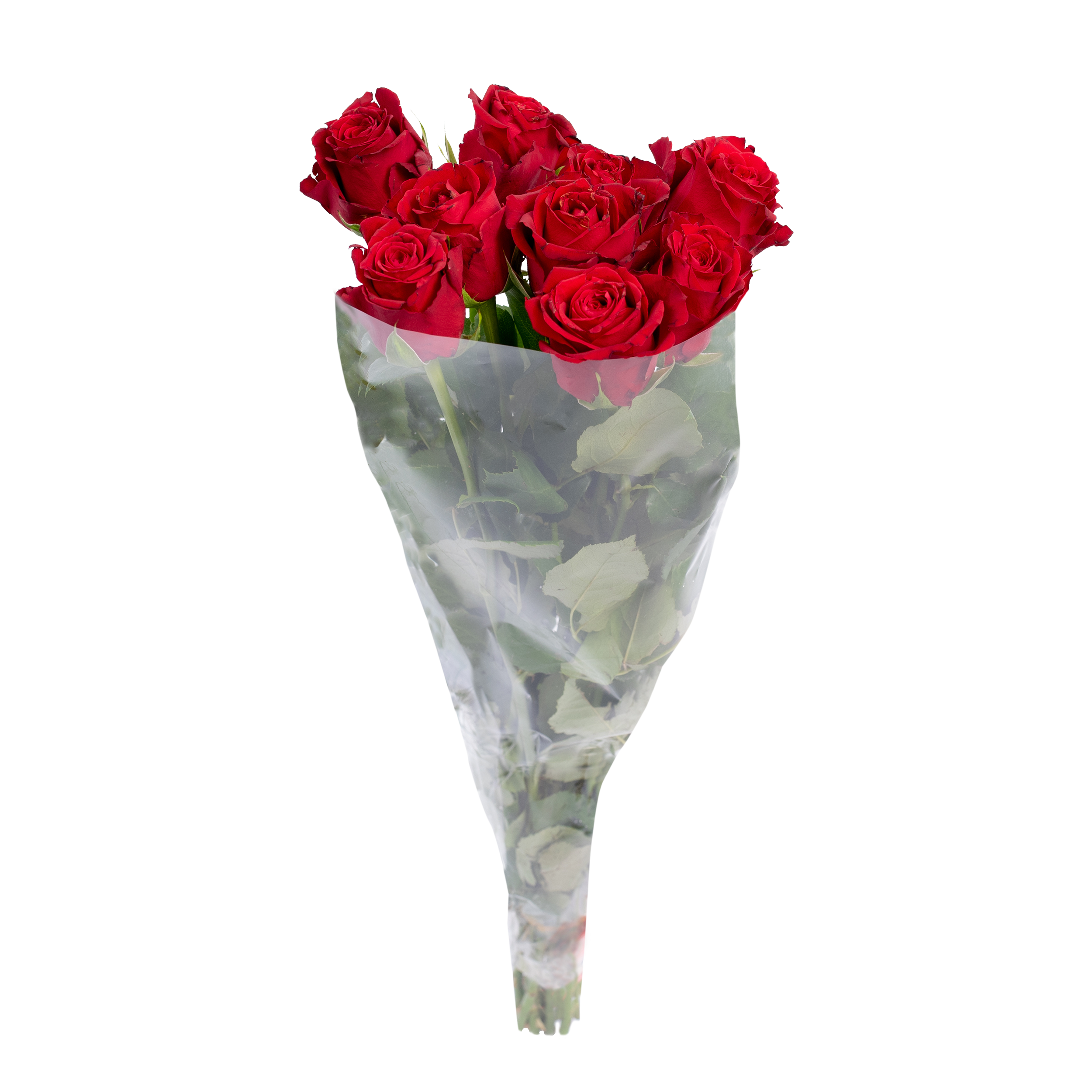 Cięte kwiaty 9 szt. Róża mix 40 cm