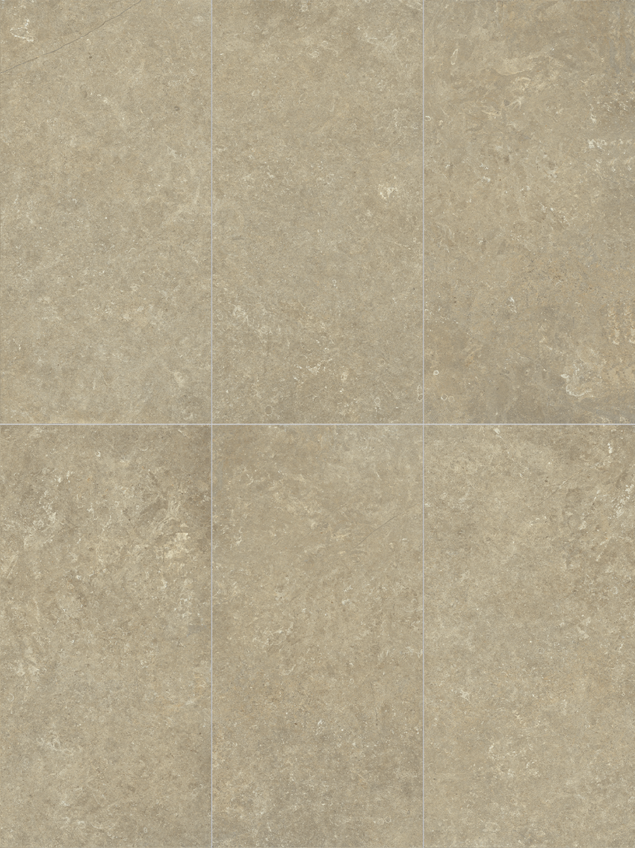 Carrelage mur / sol intérieur effet pierre terre Essentiel l.60 x L.120 cm - 4