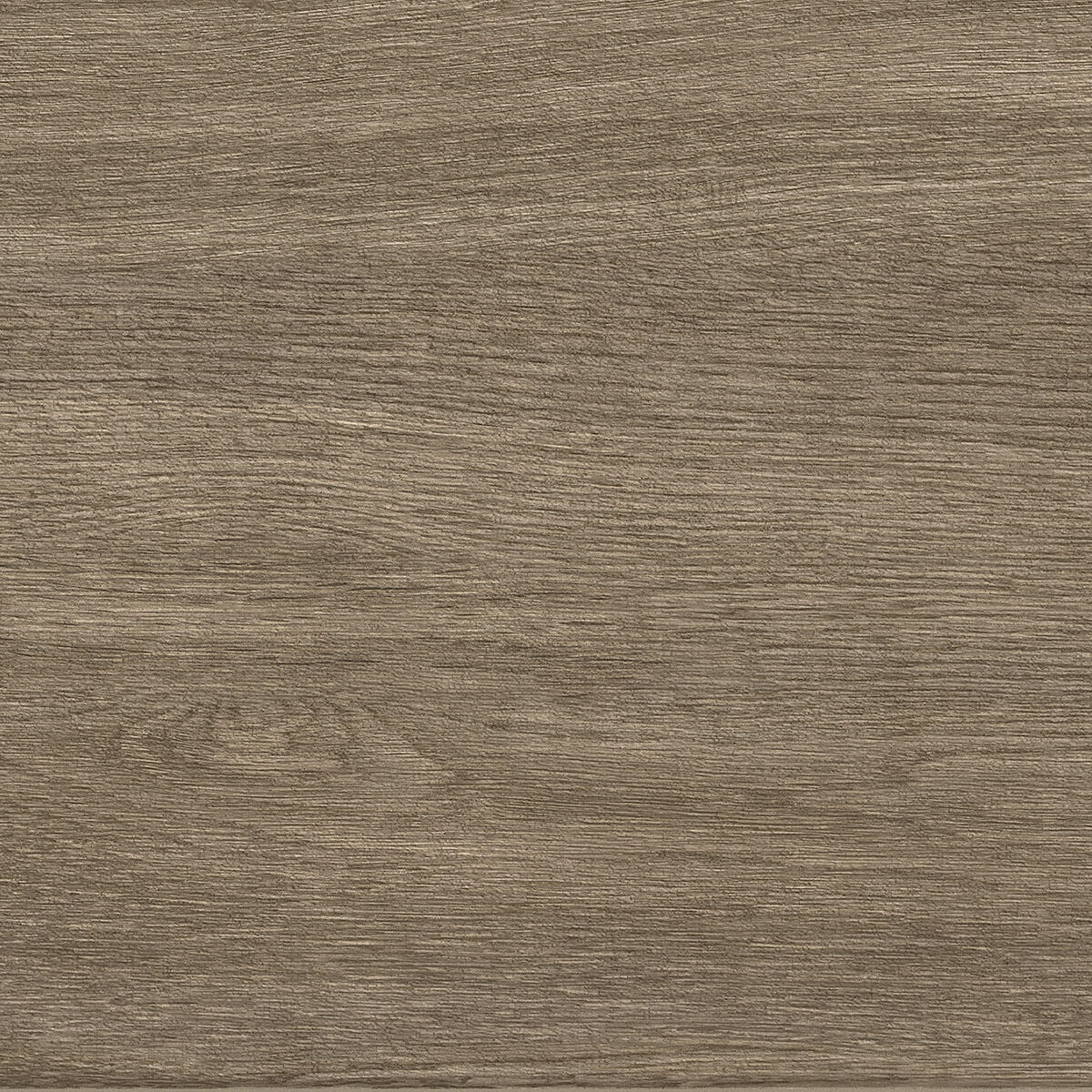 Beige uni foncé