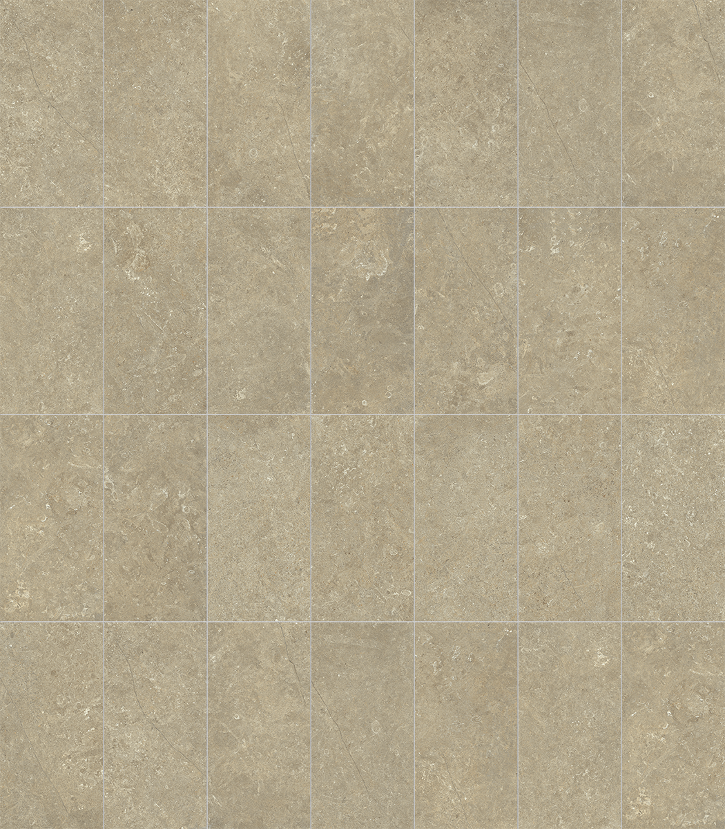 Carrelage mur / sol intérieur effet pierre terre Essentiel l.30 x L.60 cm - 4