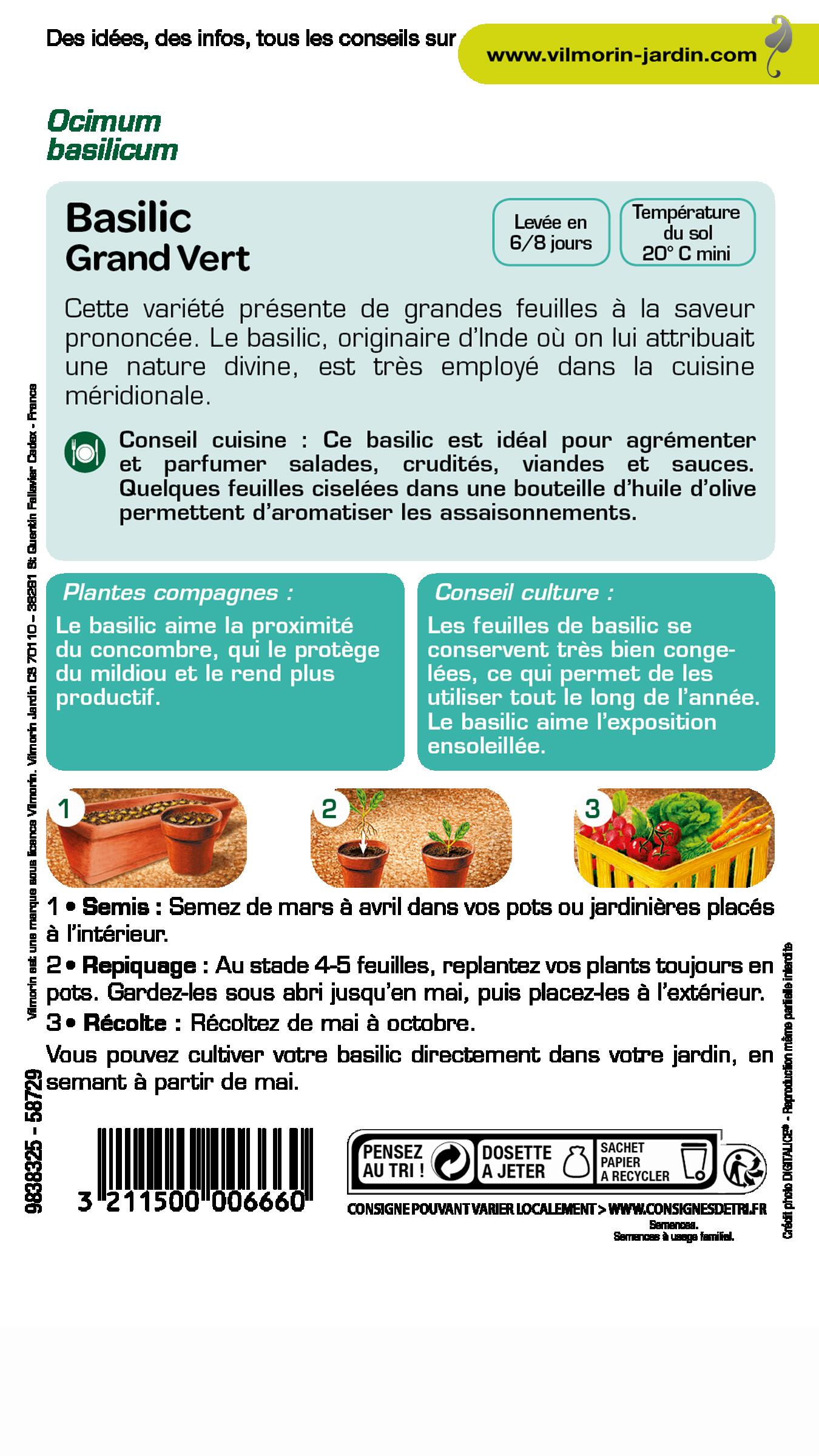 Graines de basilic VILMORIN 2 g - 2