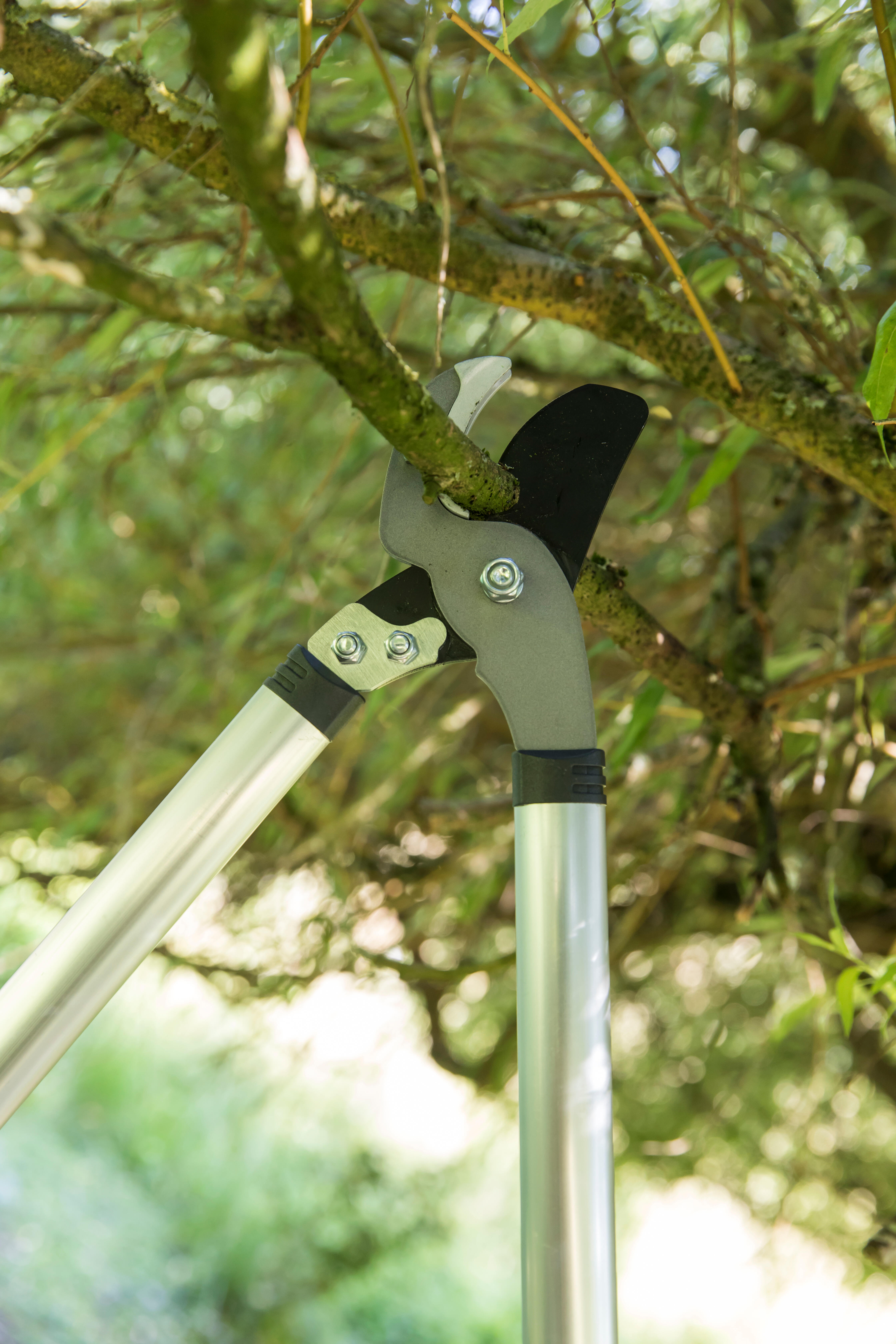 Coupe-branches acier GEOLIA, Diam.40 mm - 4