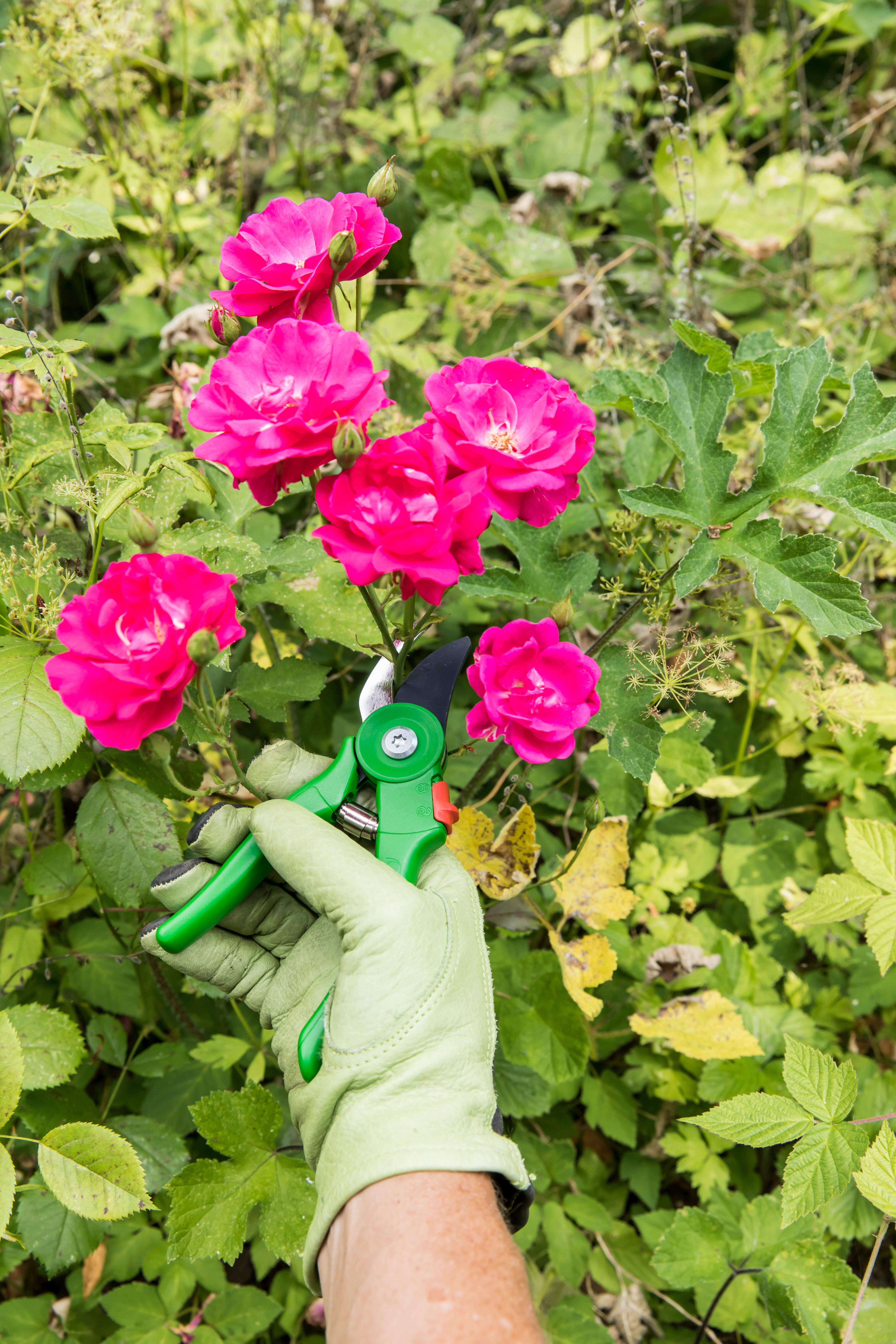 Sécateur à une main GEOLIA - 6