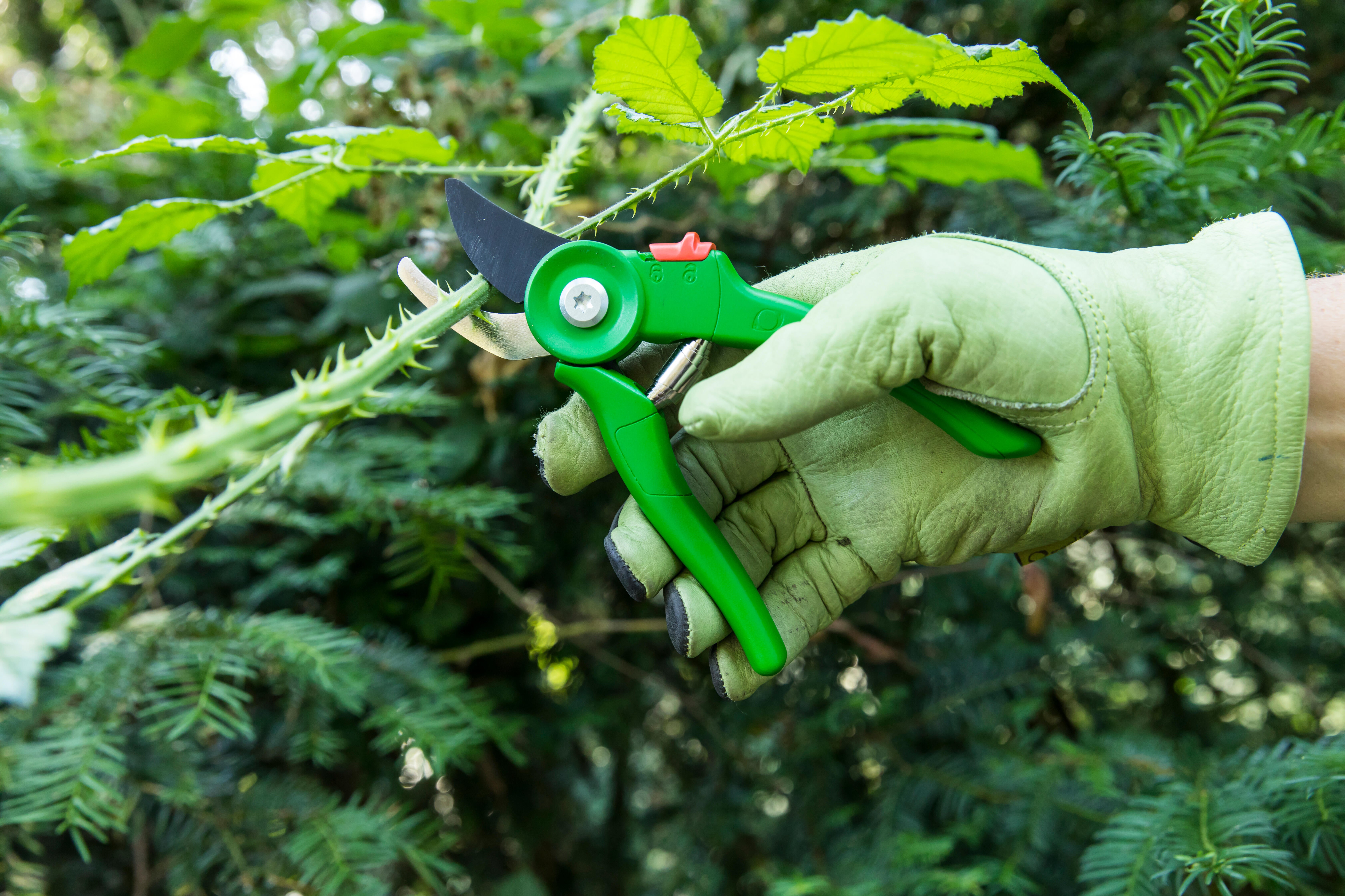 Sécateur à une main GEOLIA - 4