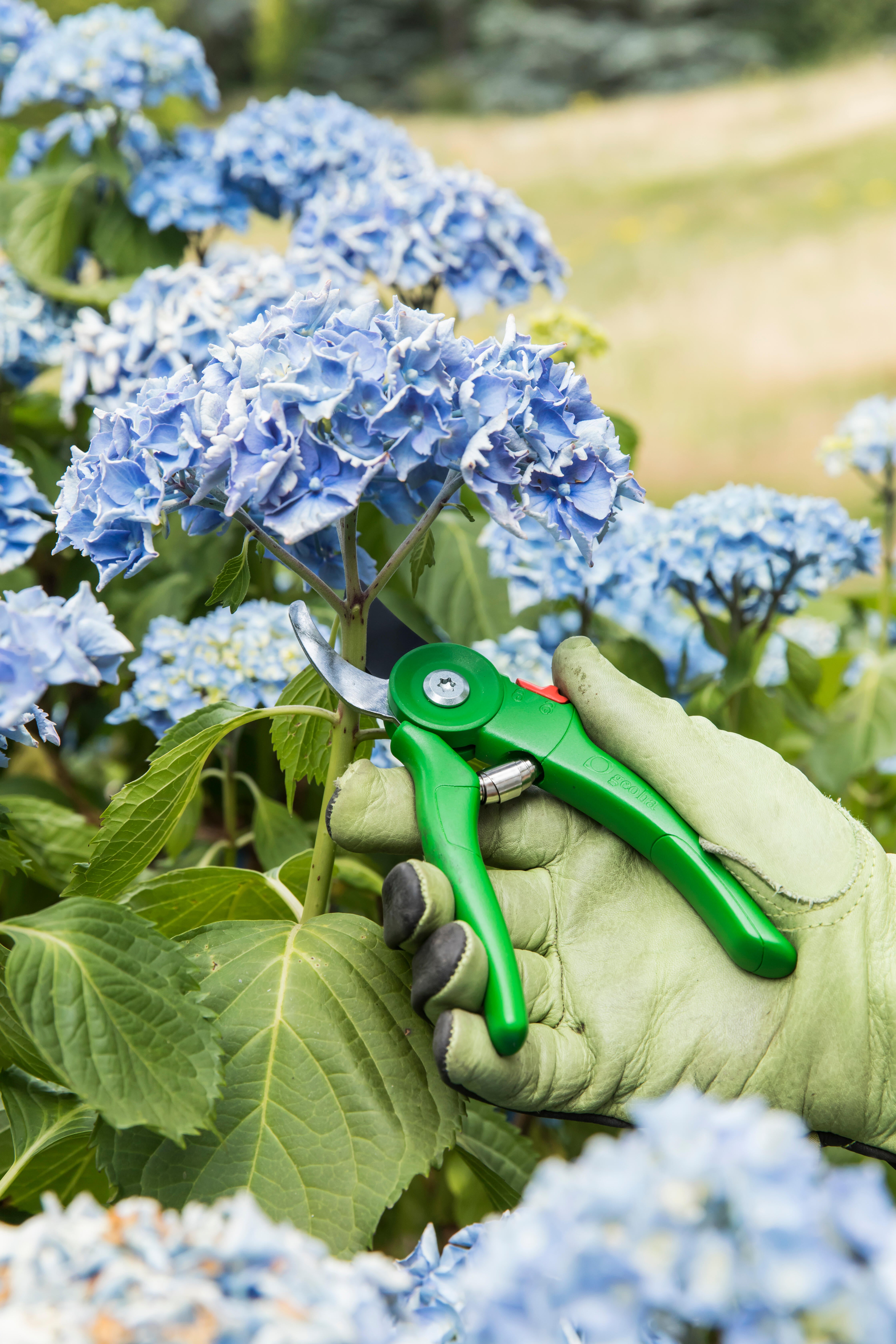 Sécateur à une main GEOLIA - 2