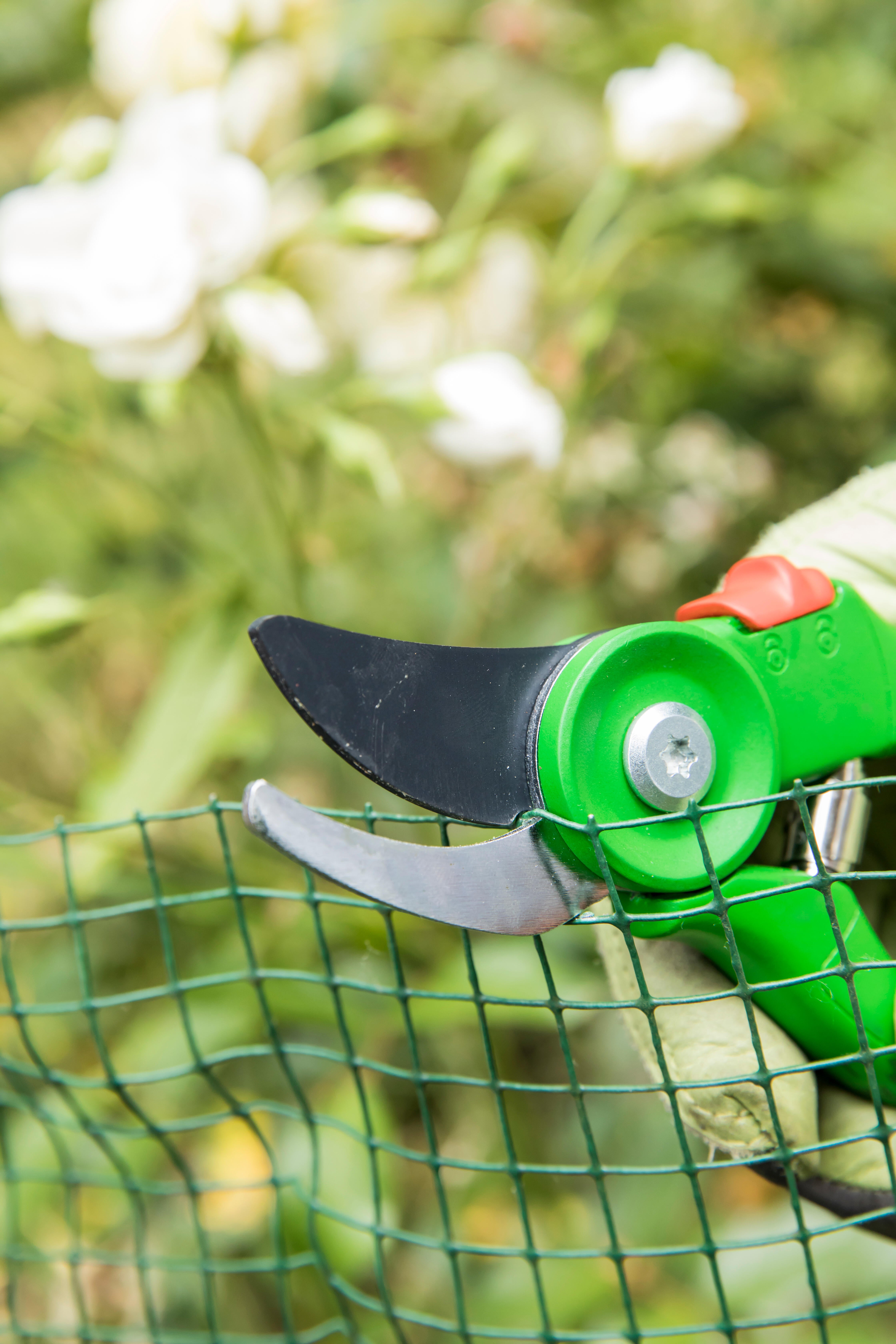 Sécateur à une main GEOLIA - 7