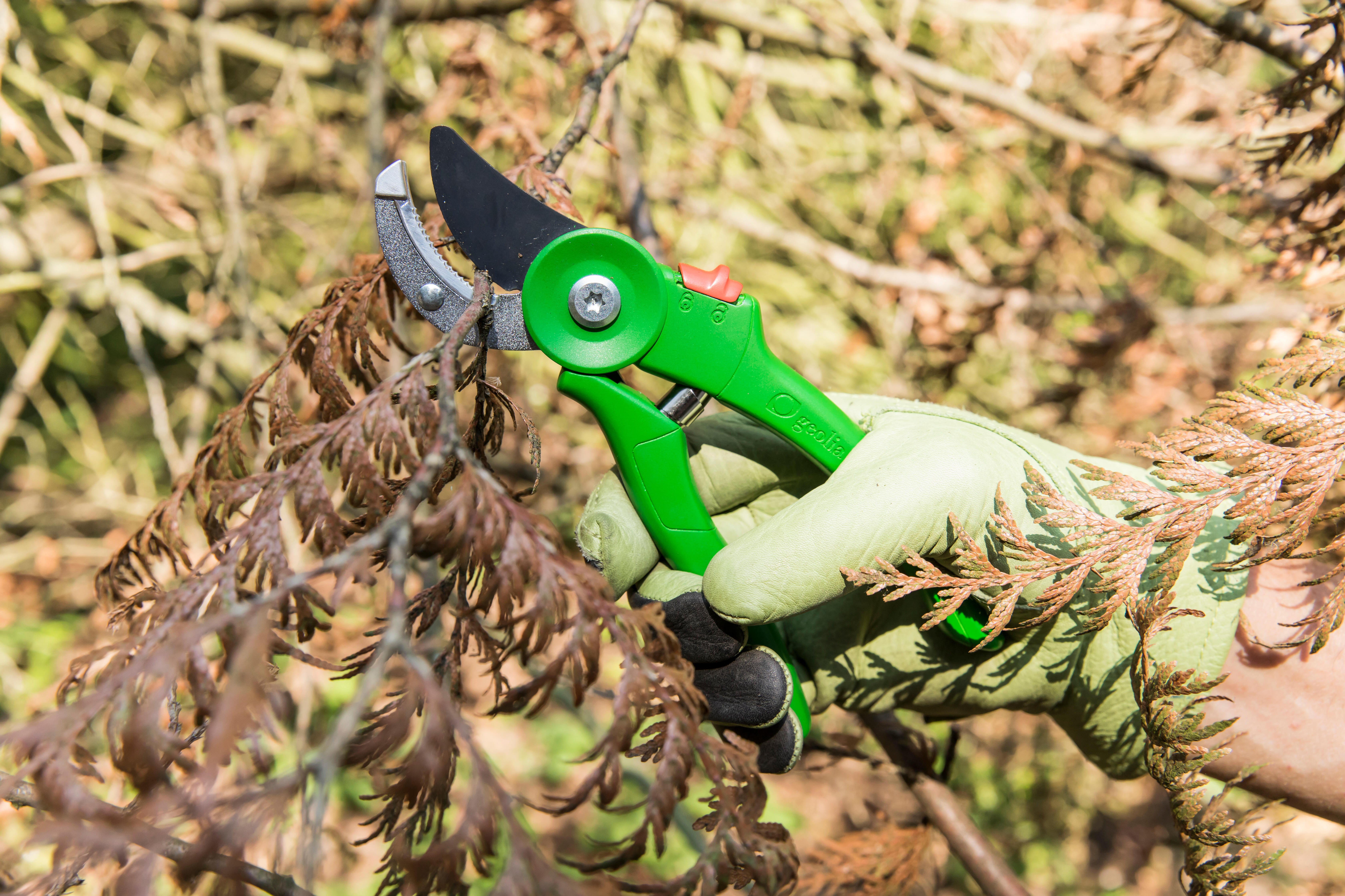 Sécateur acier GEOLIA, Diam.20 mm - 2