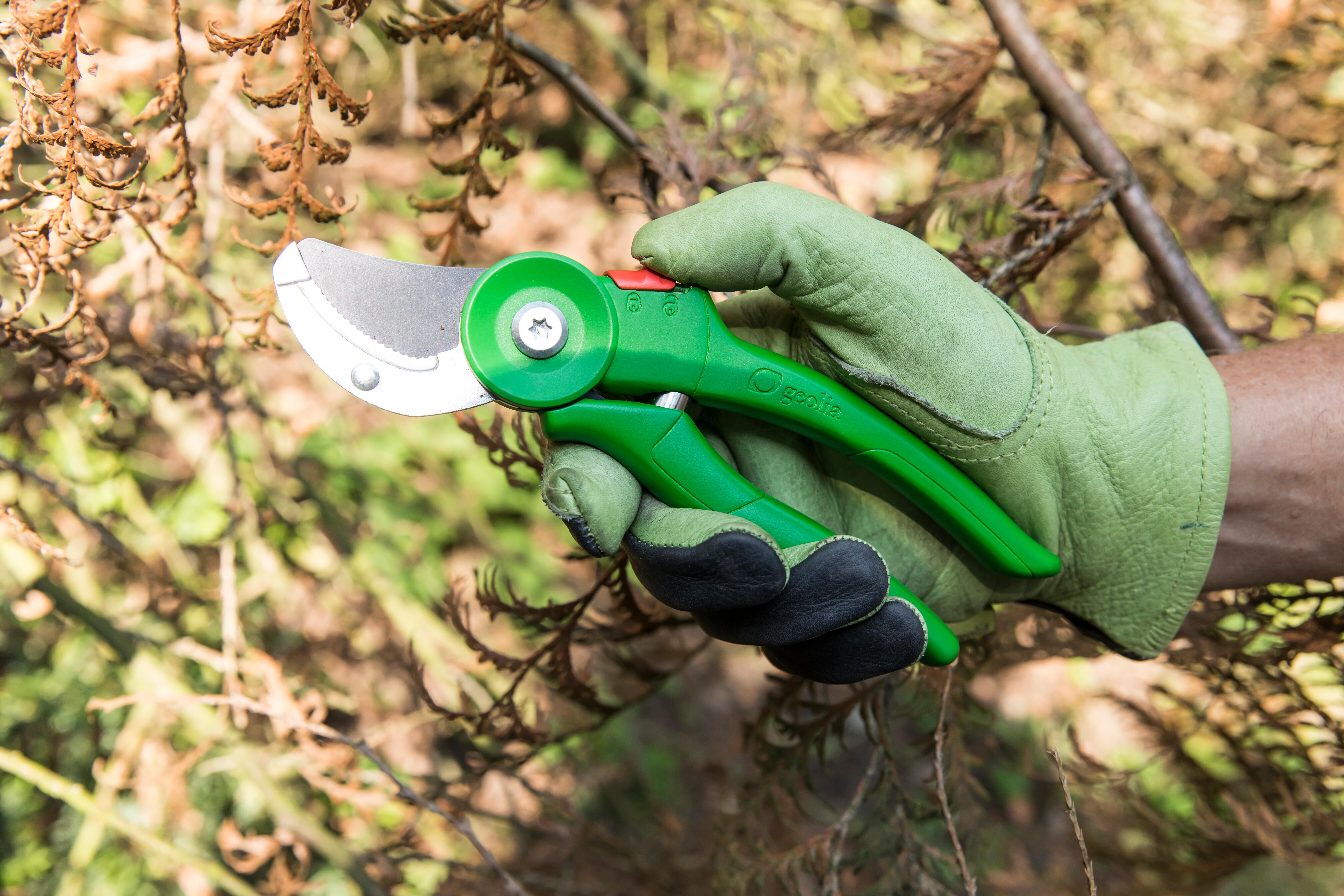 Sécateur acier GEOLIA, Diam.20 mm - 3