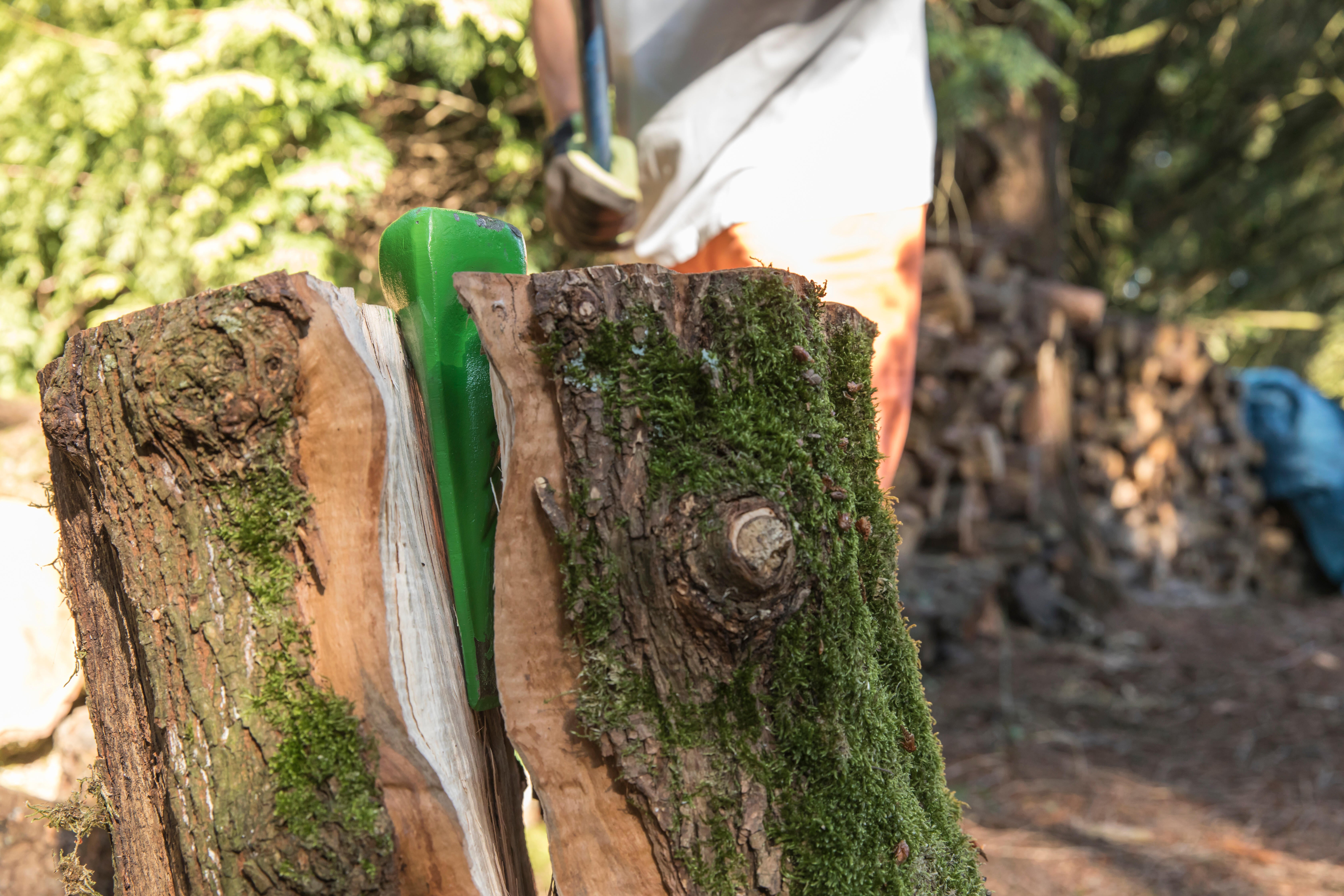 Coin à bois GEOLIA 2.5 kg - 5