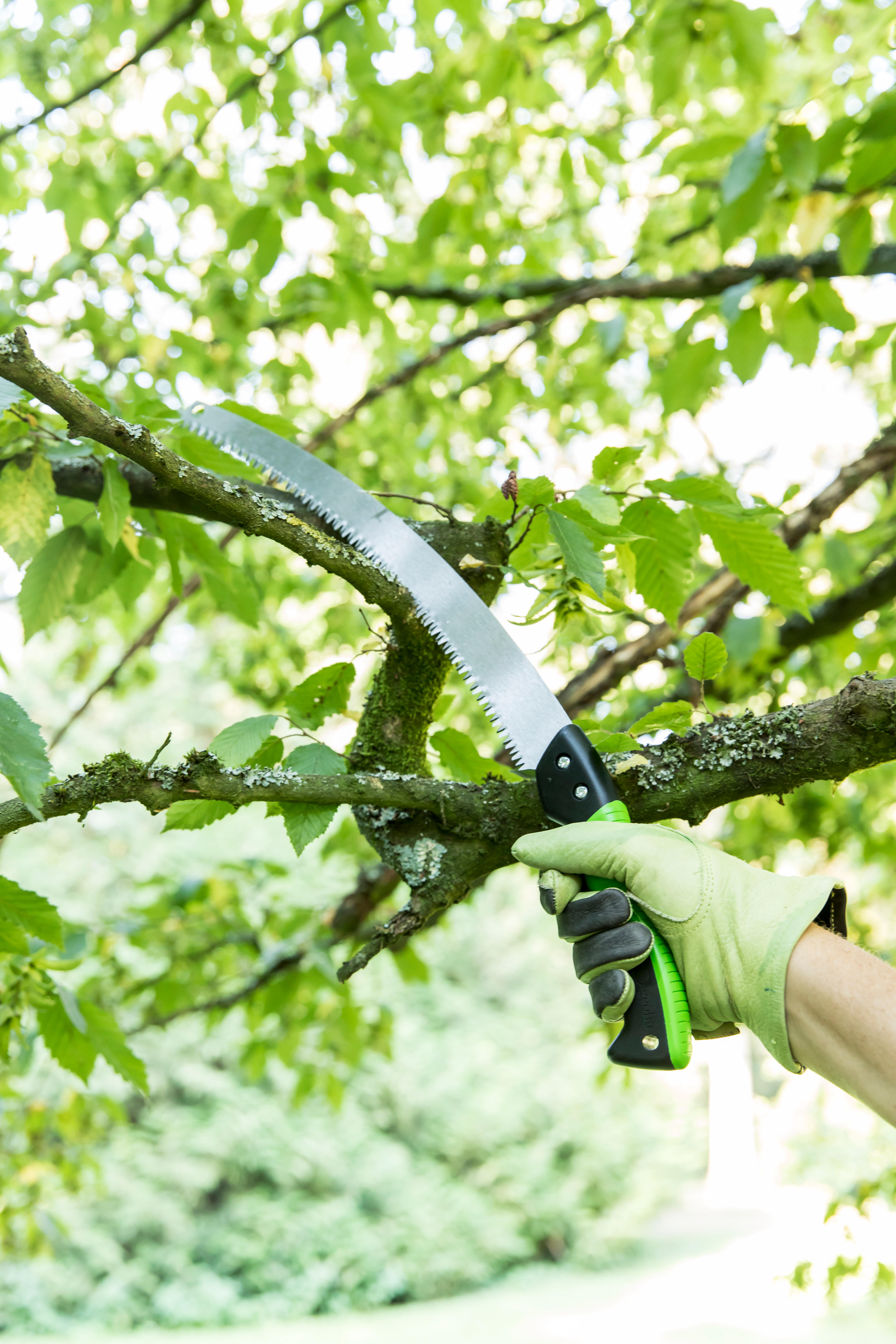 Scie d'élagage acier GEOLIA, lame 36.5 cm - 3
