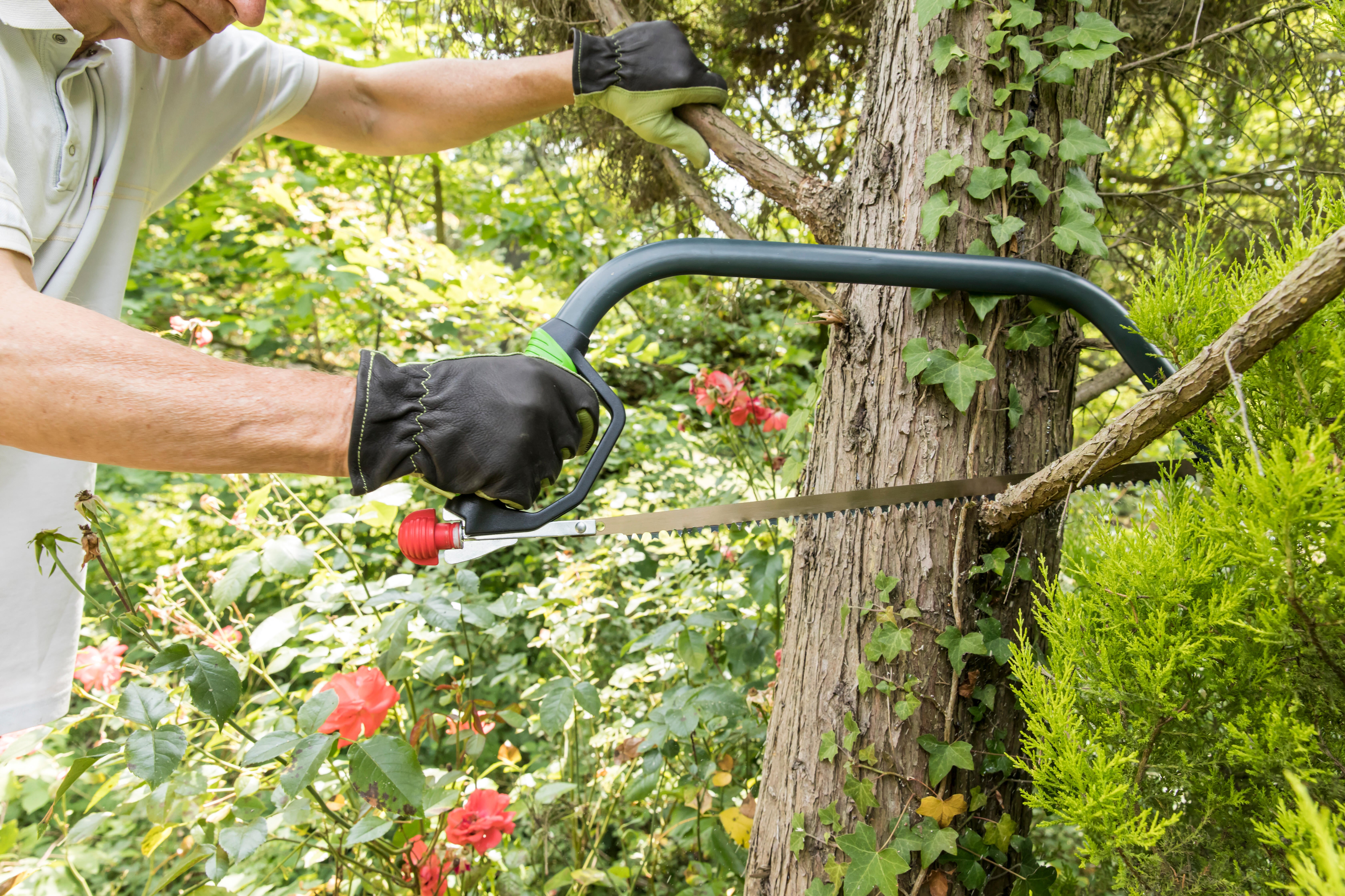 Scie à bûche GEOLIA en acier peint, lame 760 mm - 6