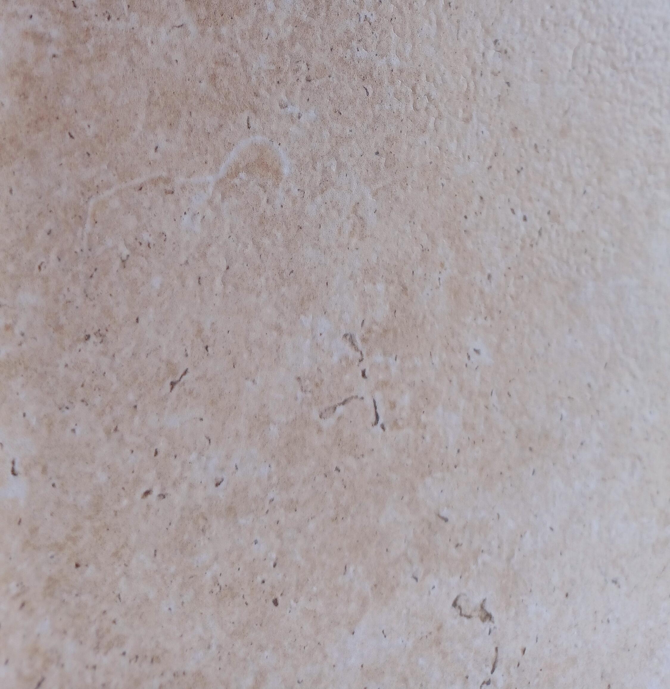 Carrelage sol extérieur effet pierre ivoire Avertino l.60 x L.60 cm x Ep.9 mm IT - 3