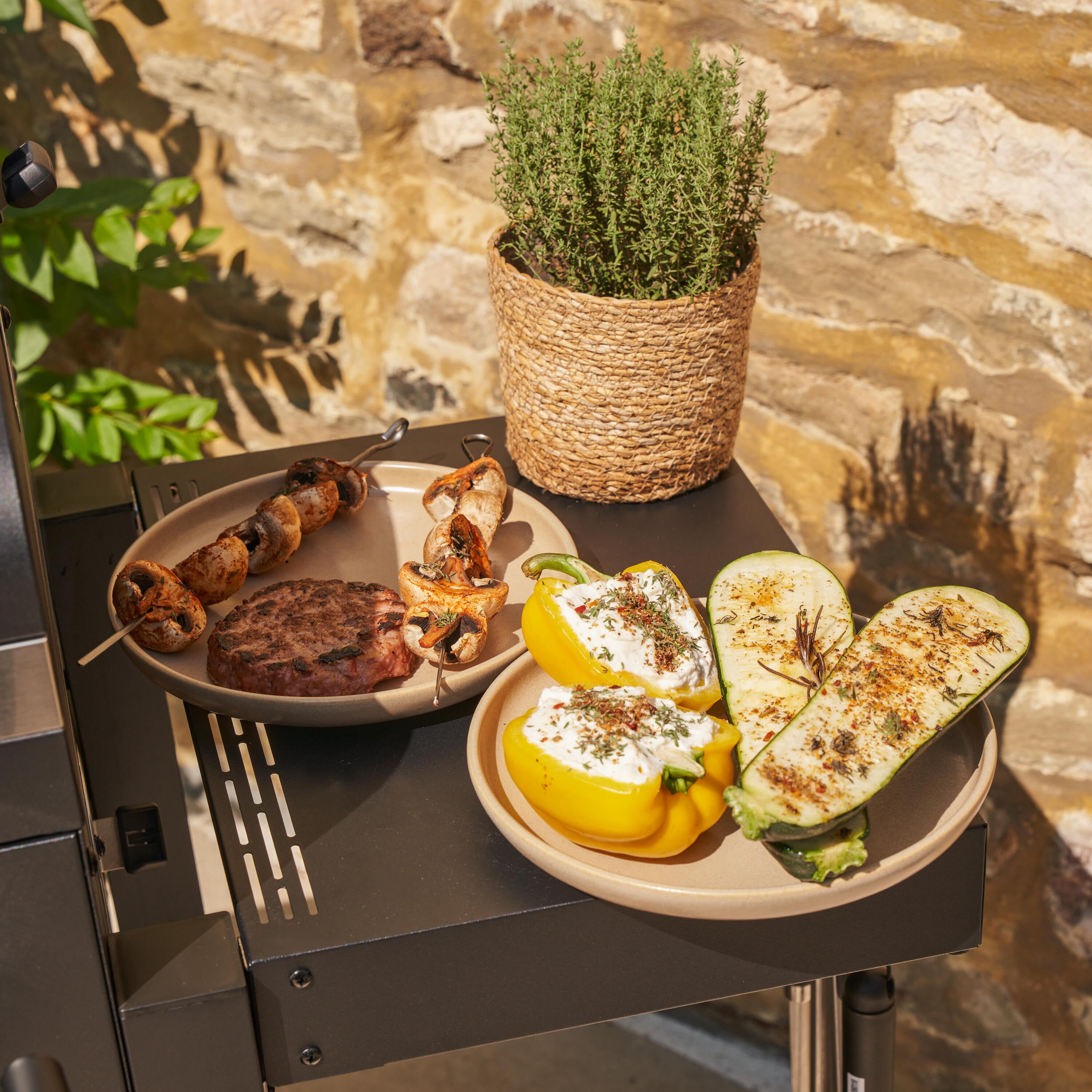 Barbecue a carvão 61x46 cm preto Naterial Centaurus - 27