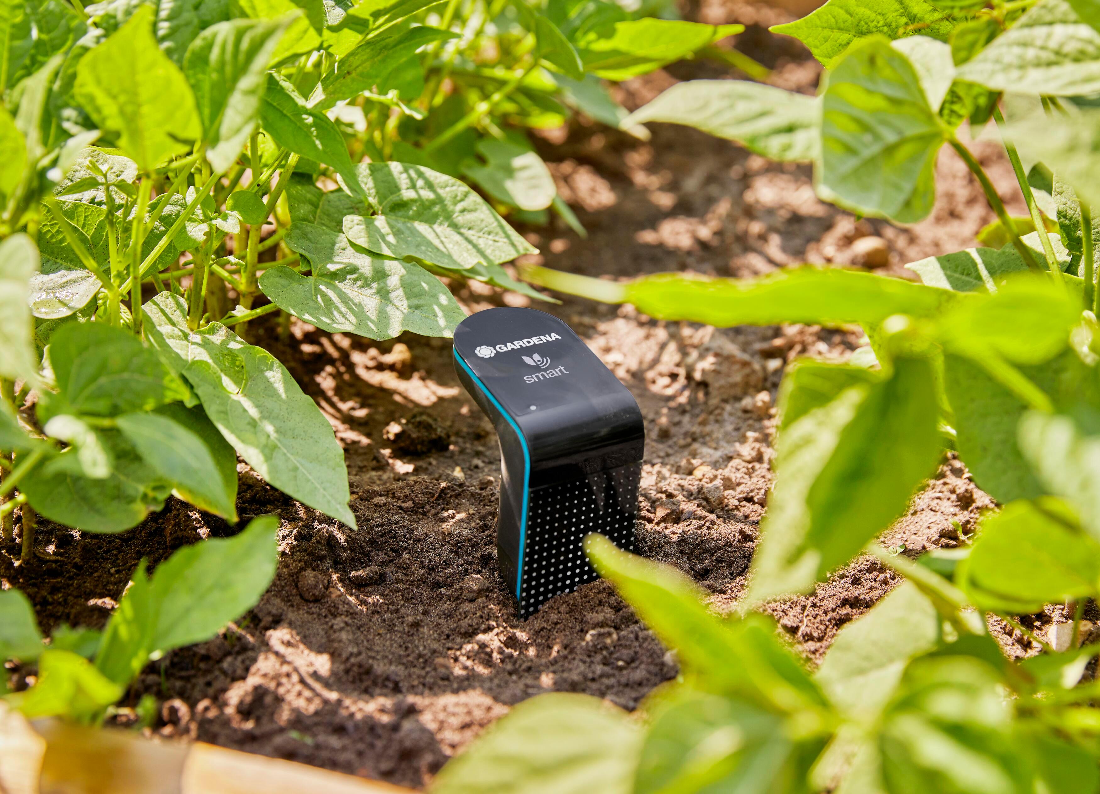 Sonde d'humidité Smart sensor 19040-20 GARDENA connectée, à piles - 10