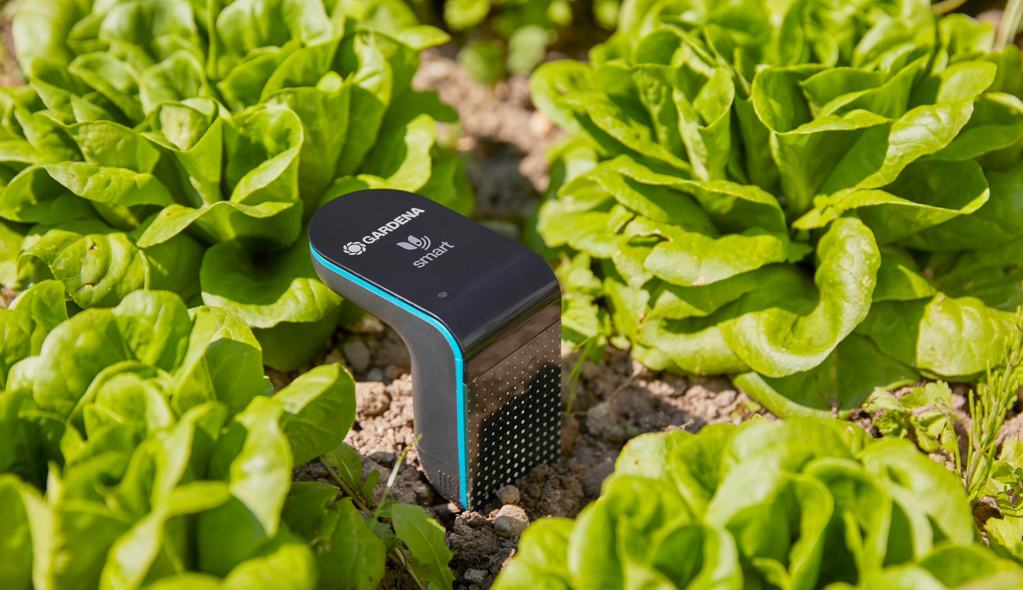 Sonde d'humidité Smart sensor 19040-20 GARDENA connectée, à piles - 7