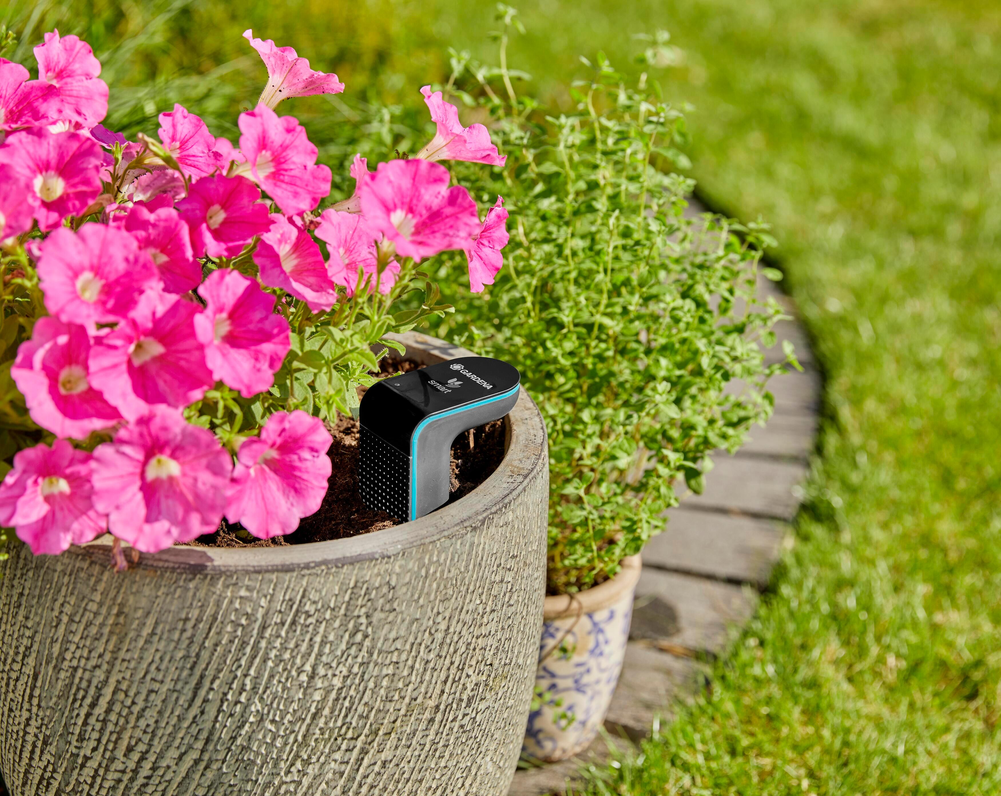 Sonde d'humidité Smart sensor 19040-20 GARDENA connectée, à piles - 8