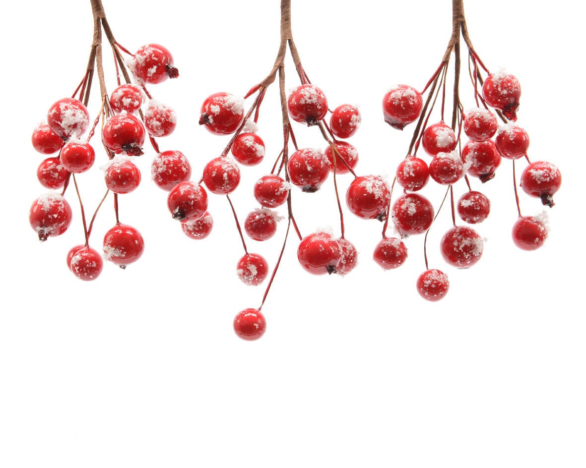 Set 3 ramos de bayas nevadas 15 cm - 3