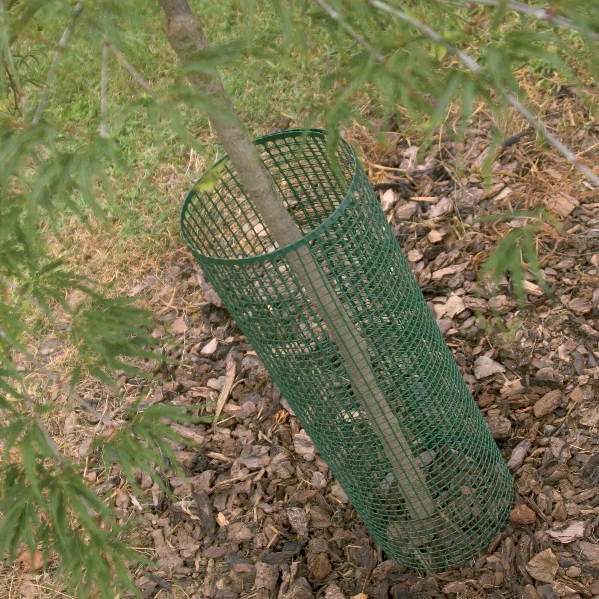 Rete in plastica Quadra 10 verde H 0.5 x L 5 m - 2