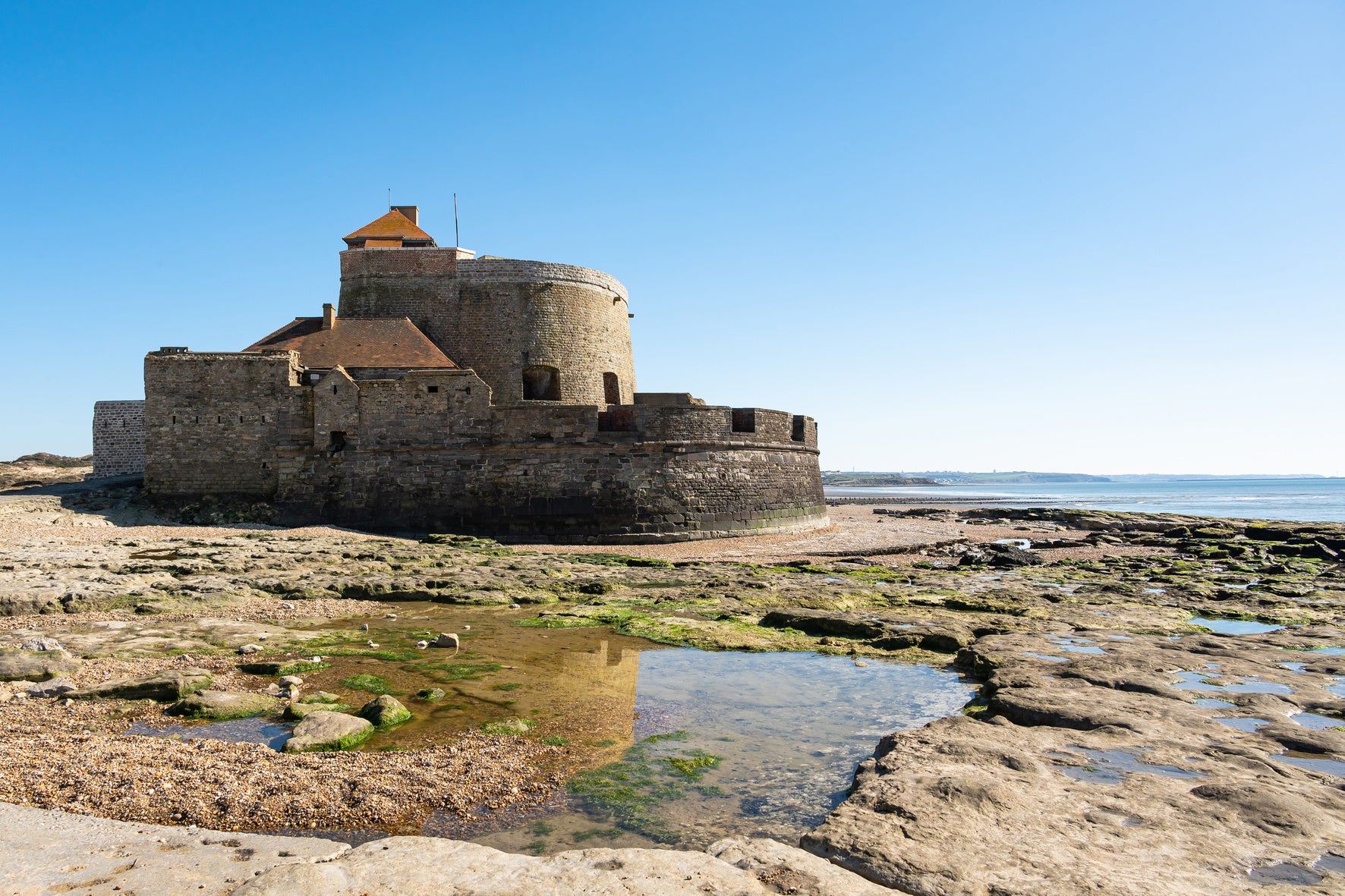 FORT SUR MER, multicolore CEANOTHE l.97 x H.65 cm | Leroy Merlin