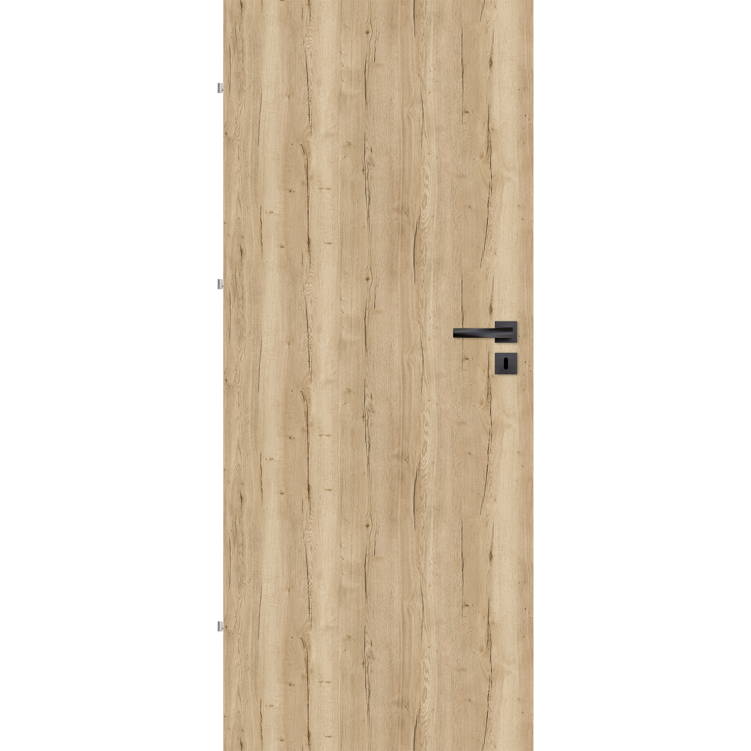 はなたろう media.png