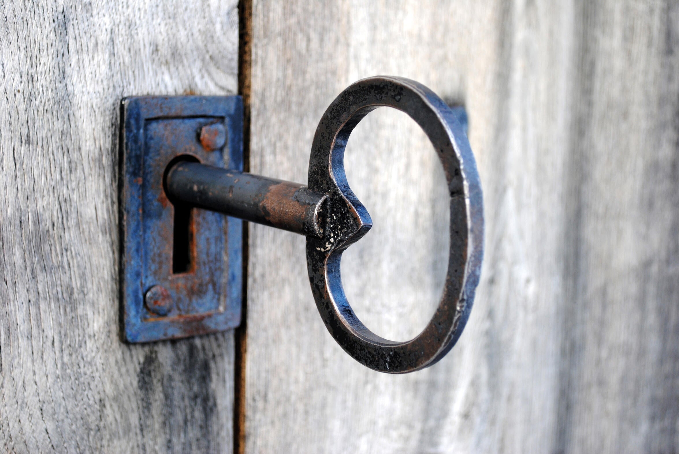 Lubrifiant multifonction en aérosol, 400 ml OWATROL - 2