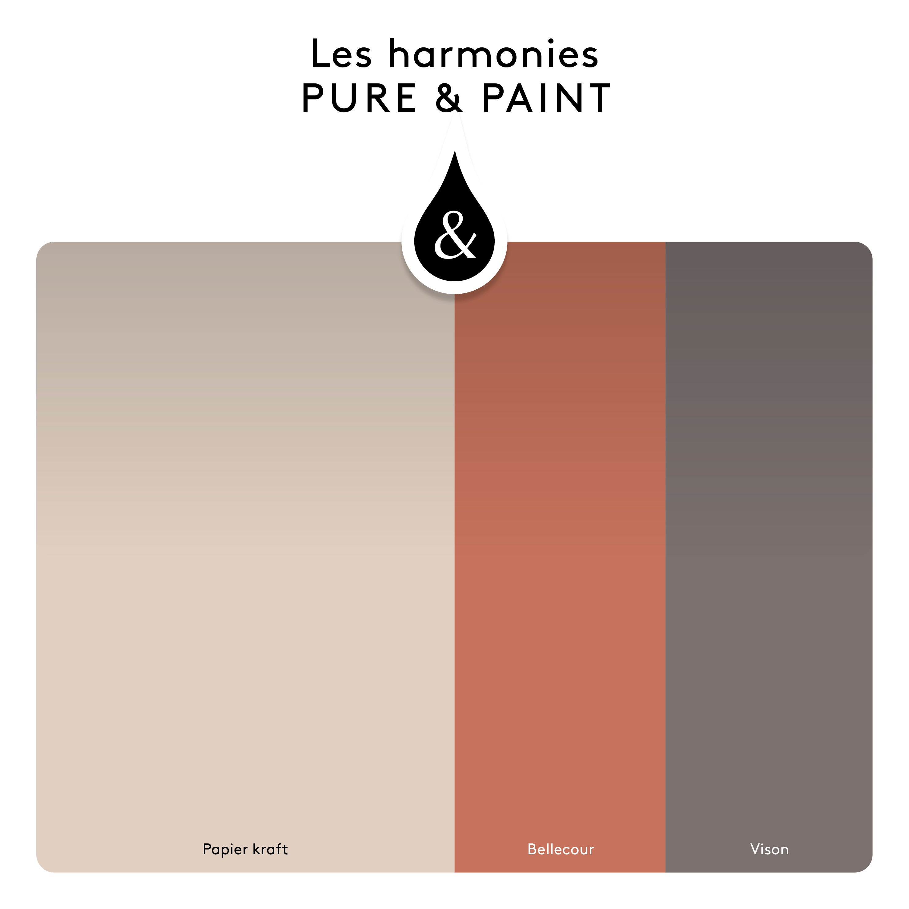 Peinture mur, boiserie papier kraft velours PURE & PAINT , 2.5L - 6