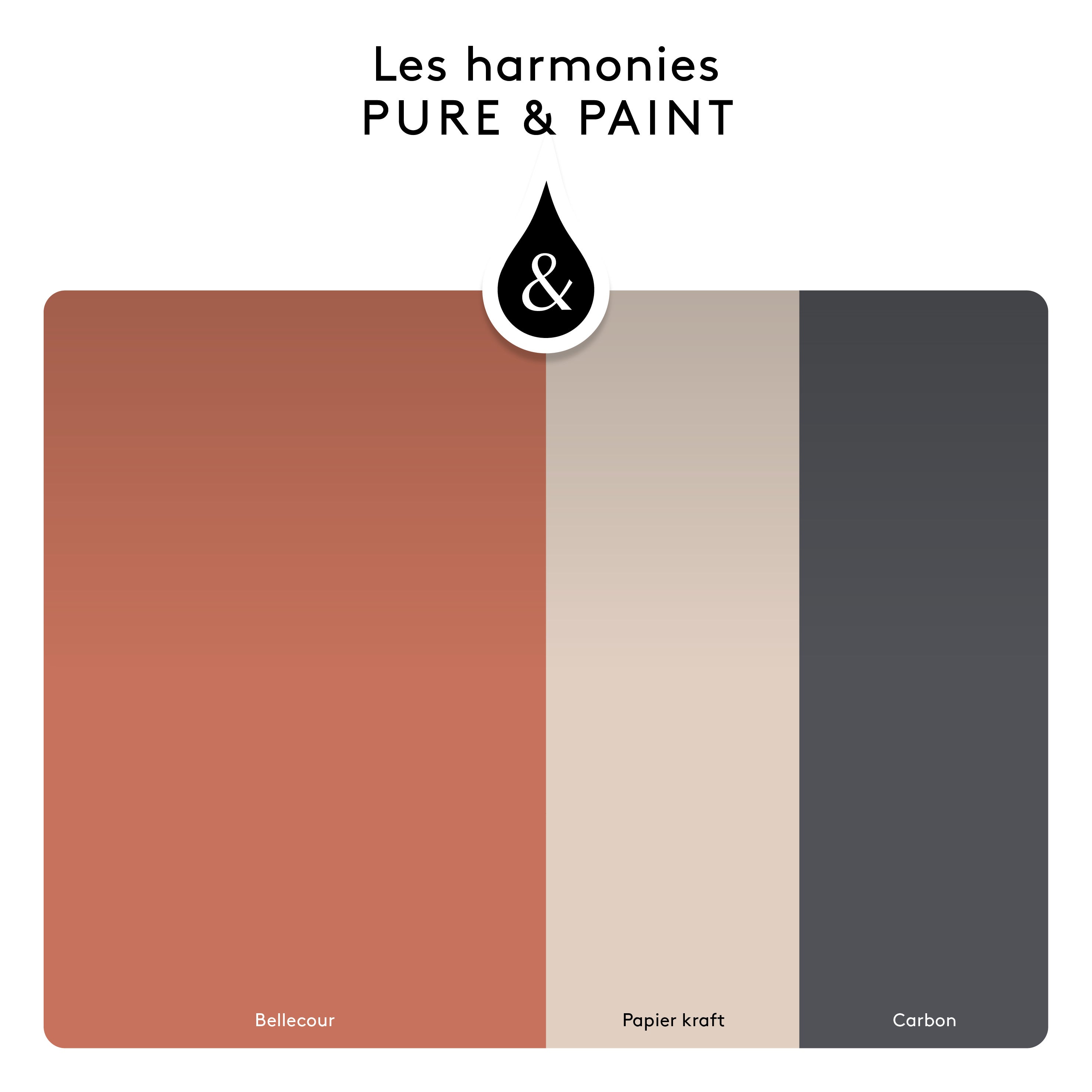 Peinture mur, boiserie bellecour velours PURE & PAINT , 2.5L - 7