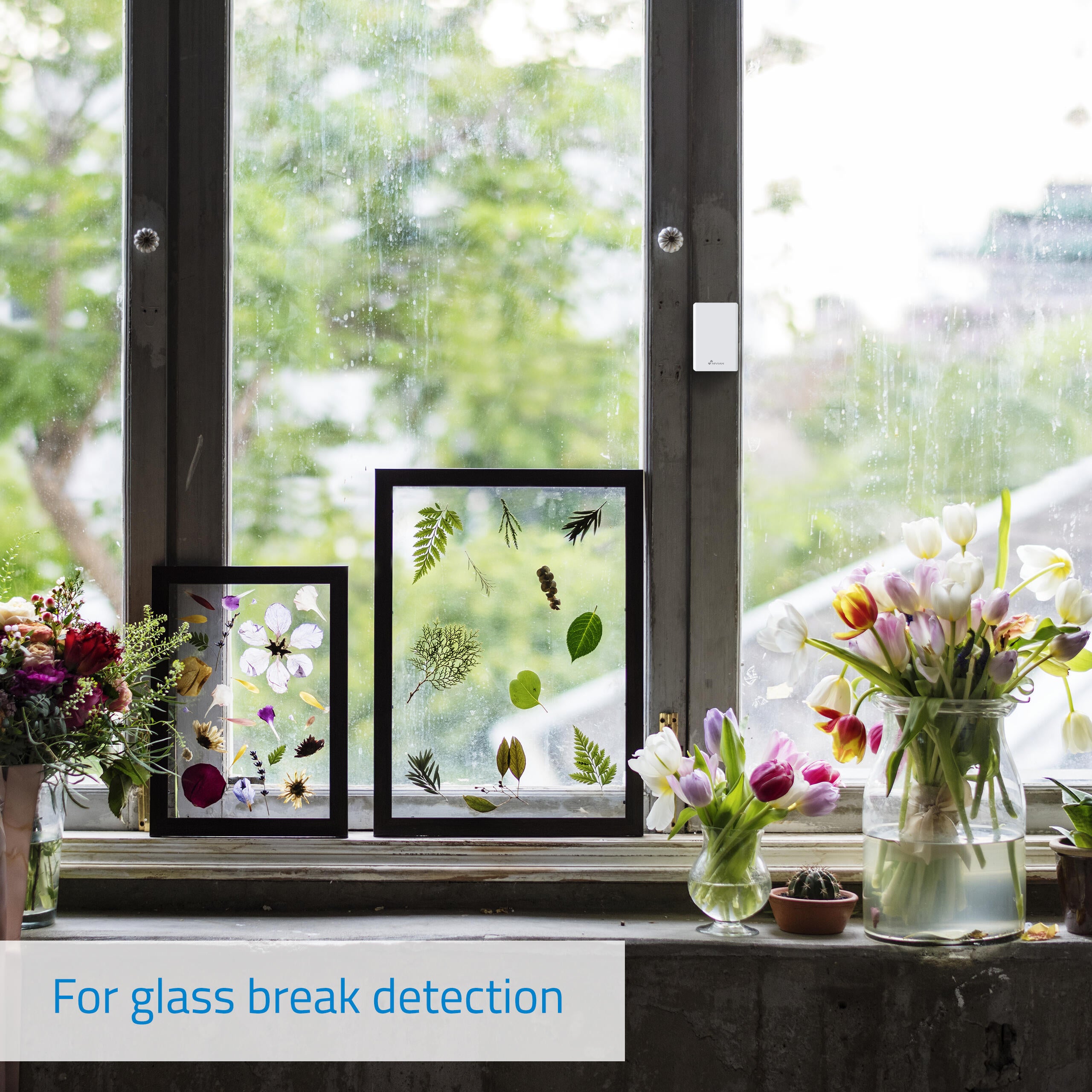 Detector de vibración alarma NIVIAN - 8