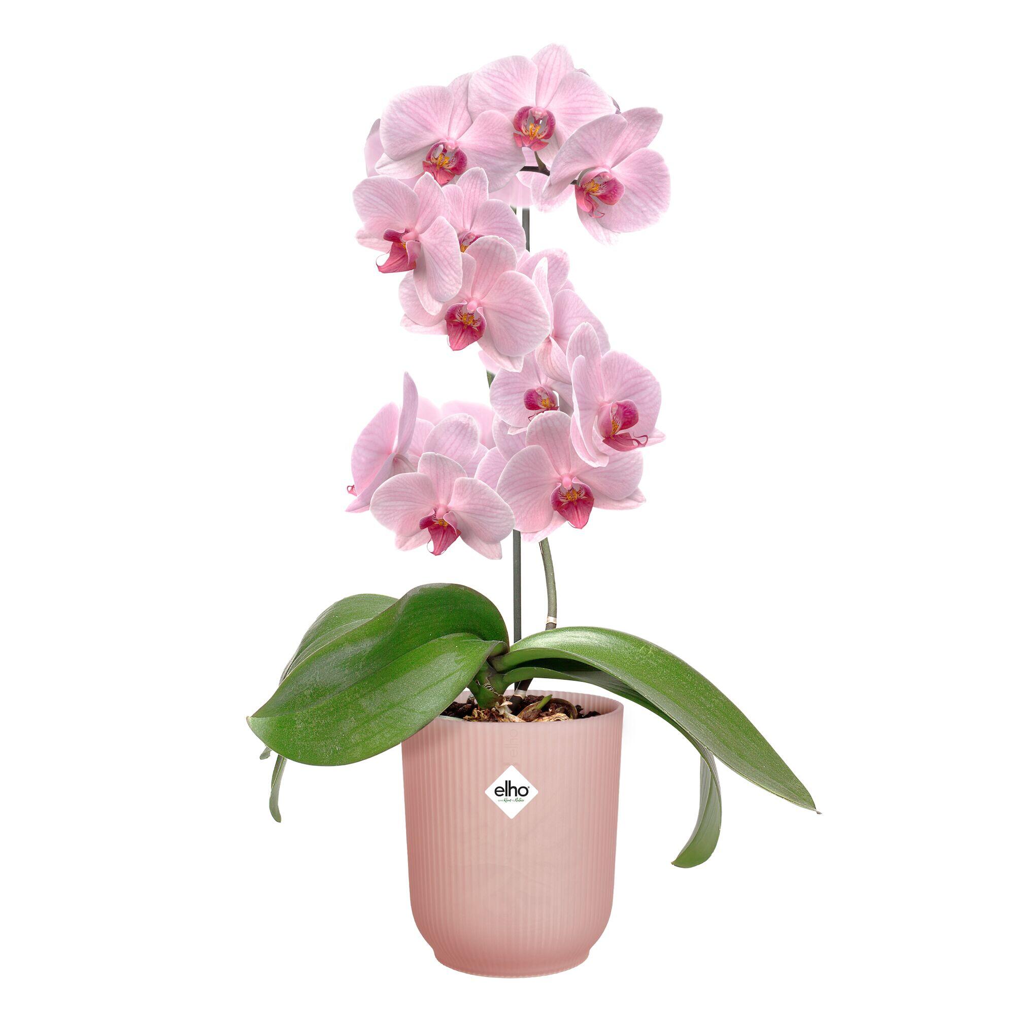 Cache-pot polypropylène ELHO Vibes fold orchid haut 12,5 rose glacé Diam.13 L.13 - 4