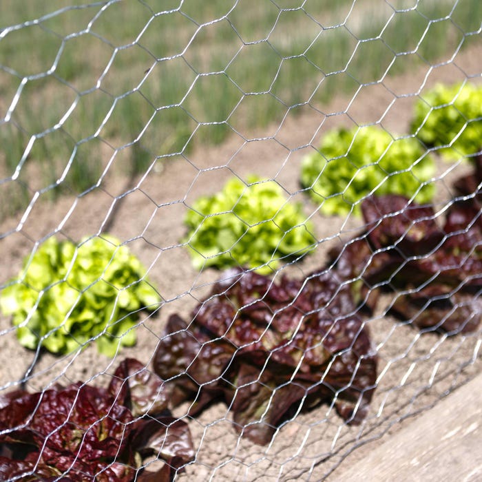 Grillage maille hexagonale galvanisée potager