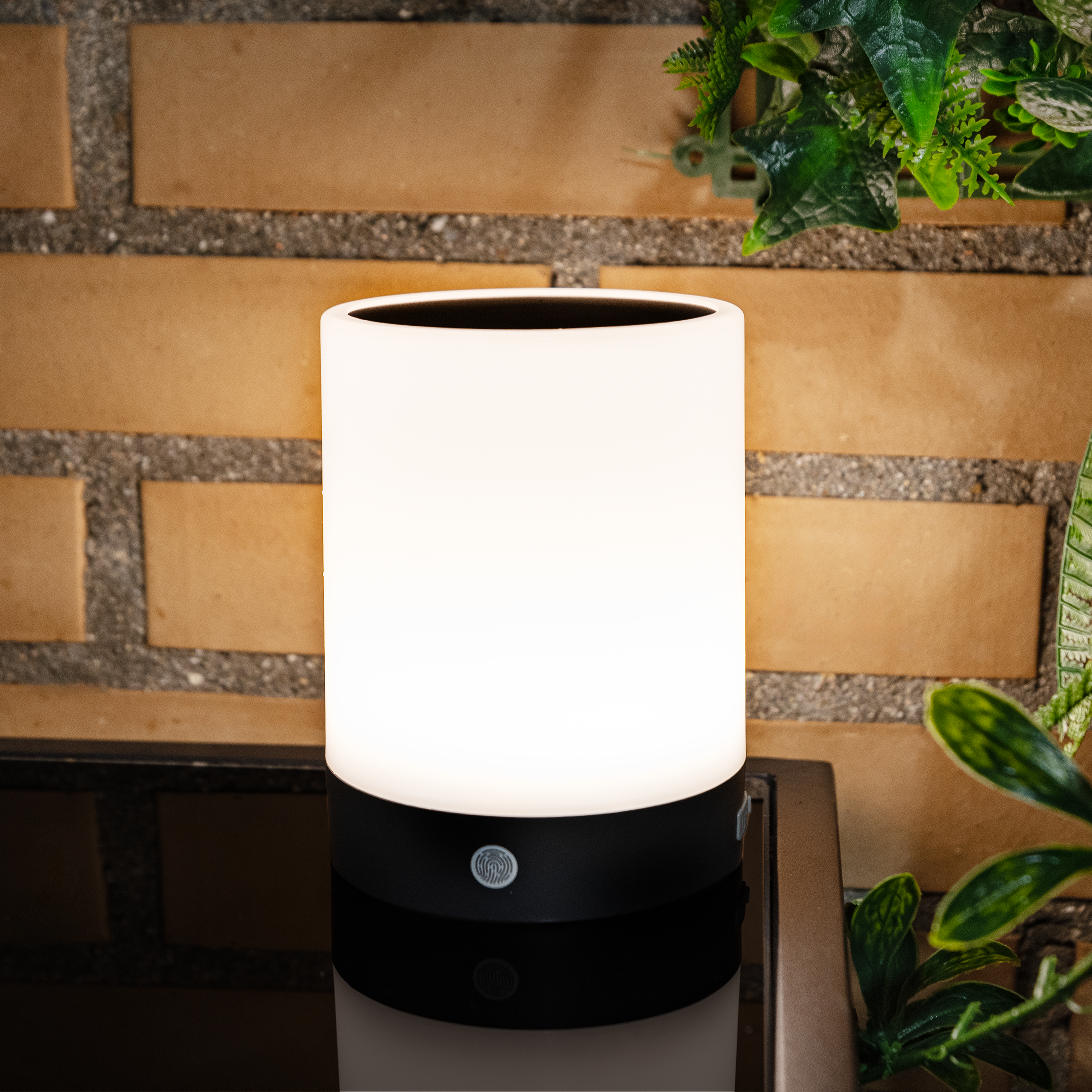 Lampes Solaires D'extérieur Pour Clôture, 8 Pièces, 8 LED, 60 Lumens Etanches 8 Modes Blanc Chaud Blanc Froid Et Rvb 92249239