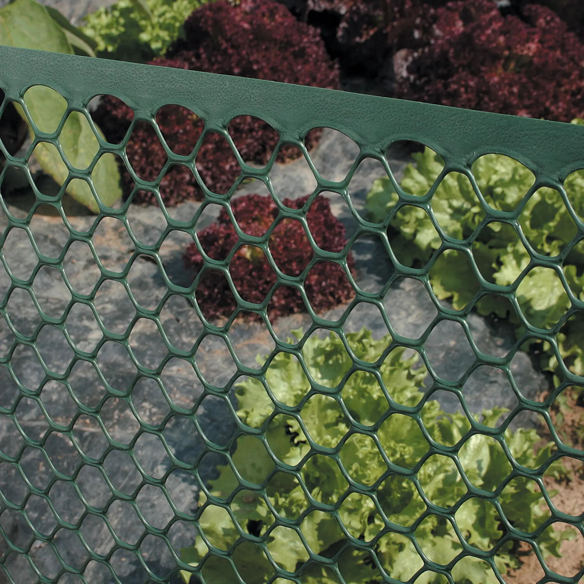 Rete in plastica EXAGON verde H 1 x L 5 m - 4