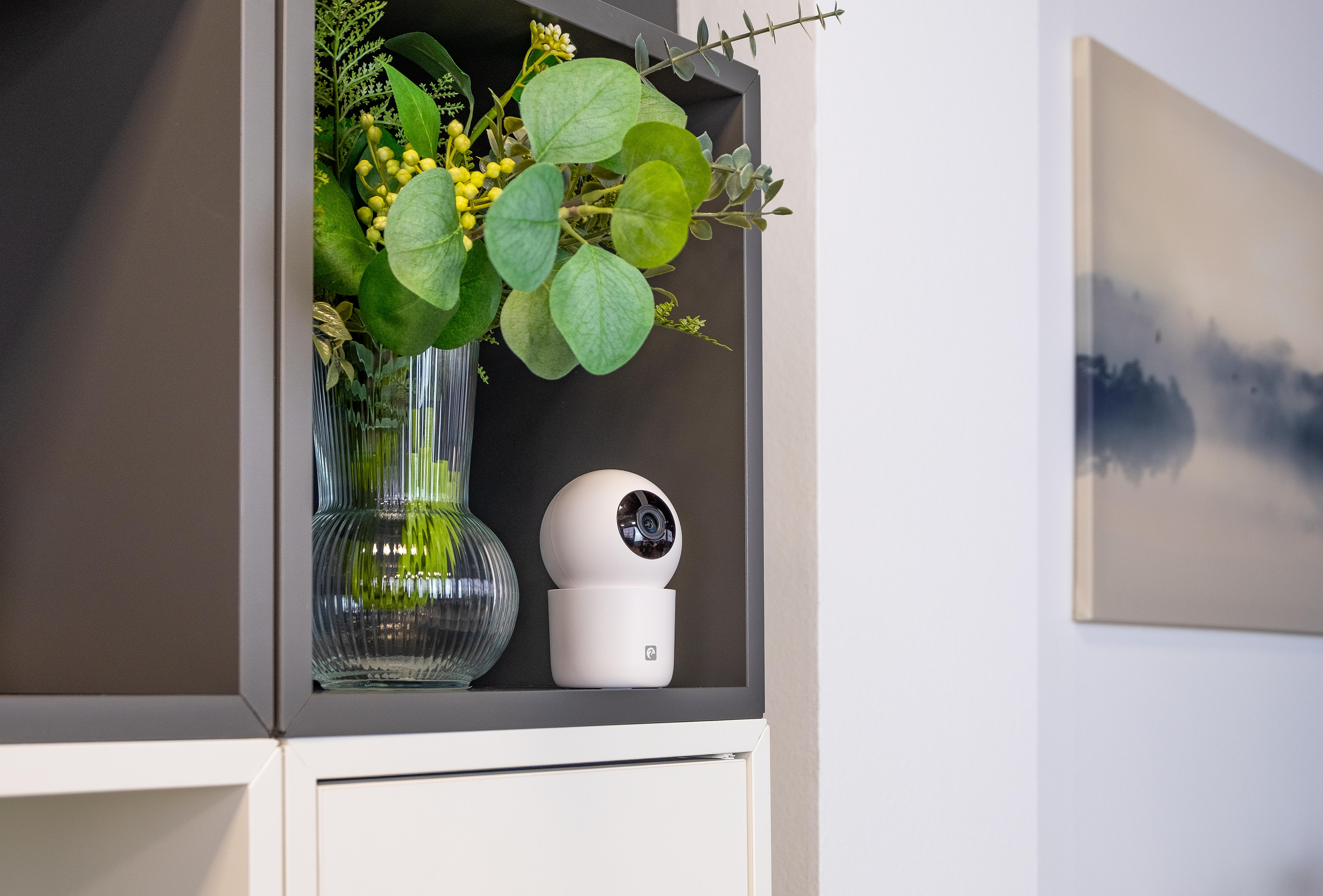 Cámara smart wifi 360 qhd orwell bl