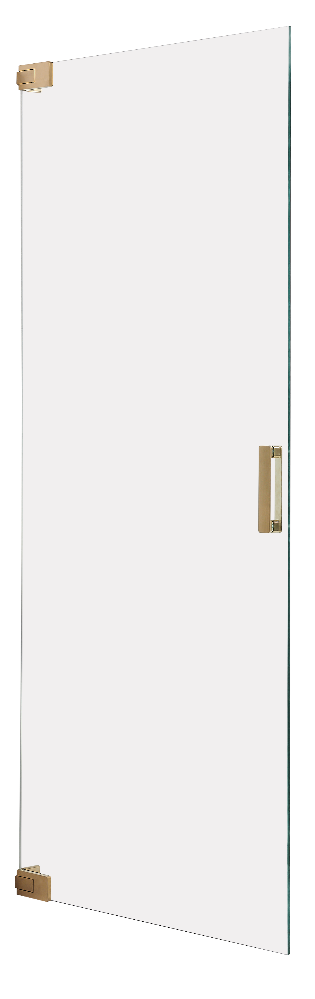 Drzwi prysznicowe uchylne do wnęki złote Pure 100x200 cm Sealskin
