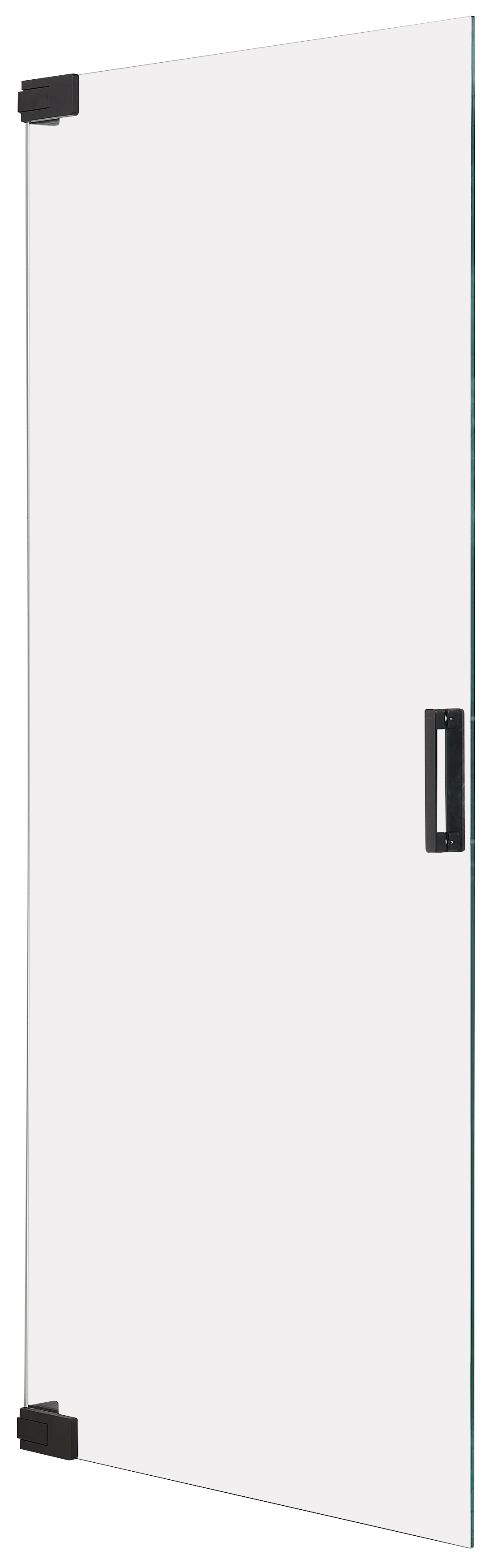 Drzwi prysznicowe uchylne do Walk-in czarne Pure 100x200 cm Sealskin