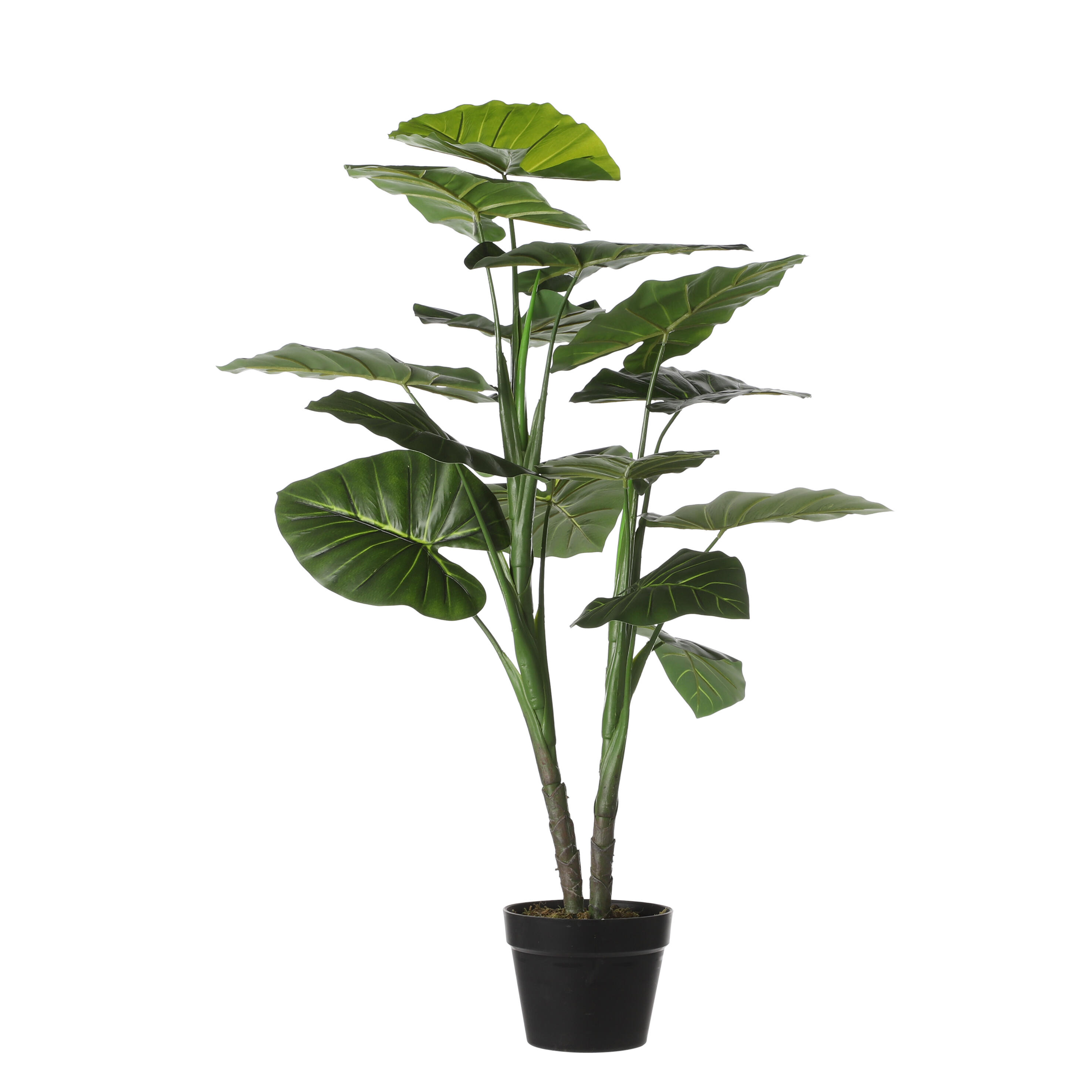 Planta artificial taro en maceta verde 100cm