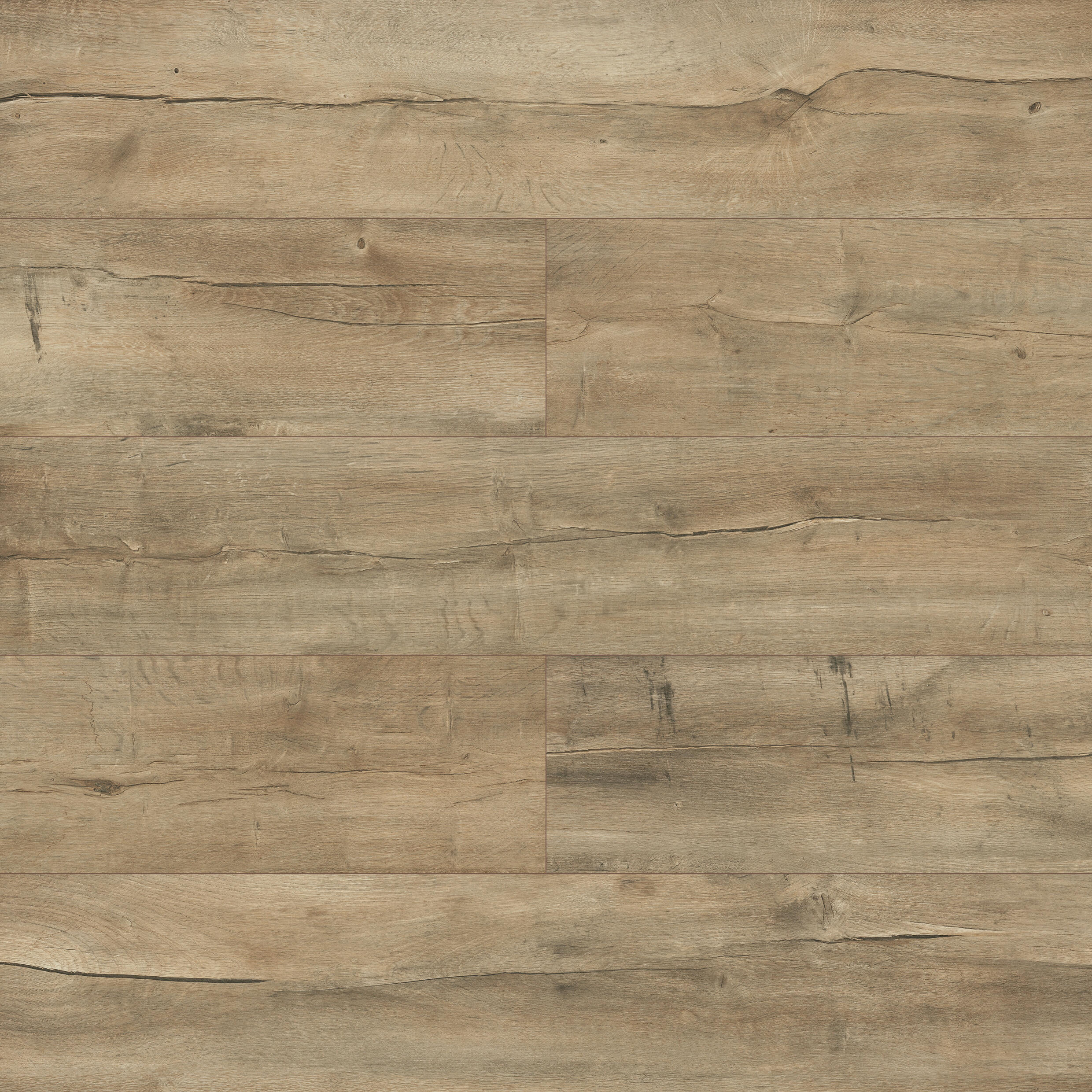 Panele podłogowe laminowane AC6 10 mm Promo Flooring Dąb Sodova