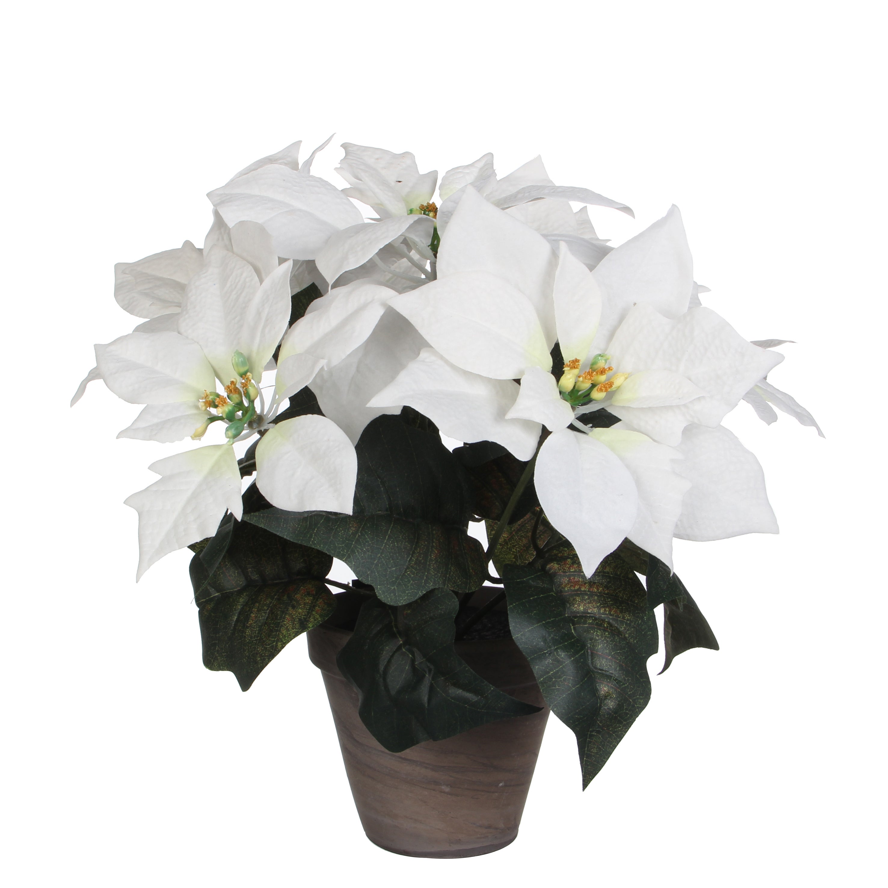 Planta artificial poinsettia blanco en maceta gris 30cm