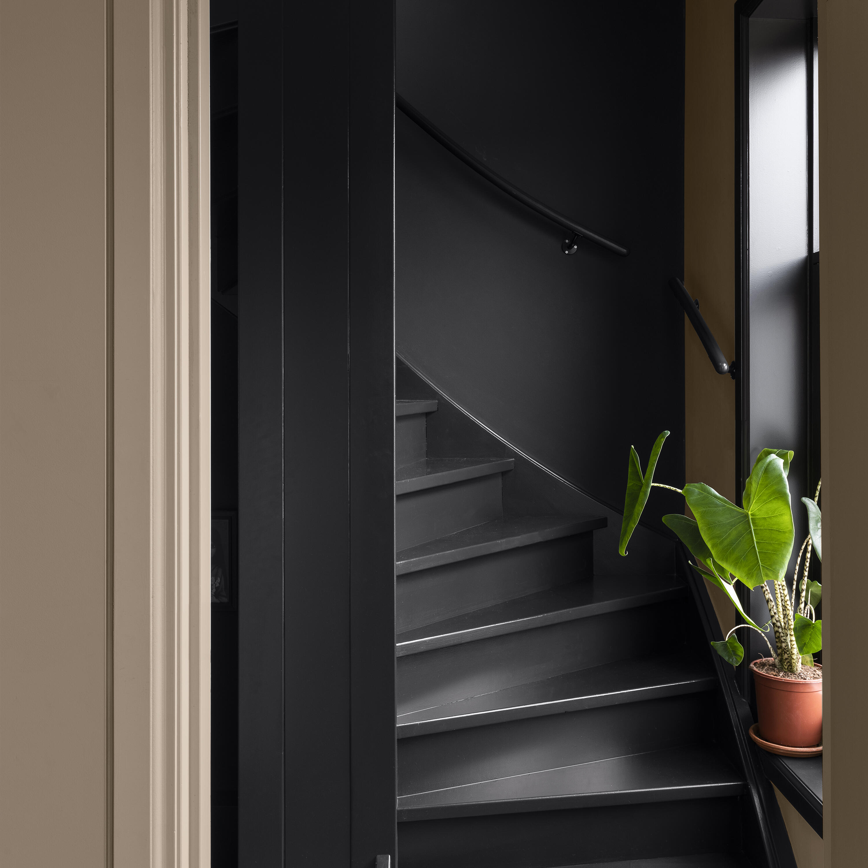 Laque intérieure boiserie, radiateur gazelle satin DULUX VALENTINE Valénite acry - 3