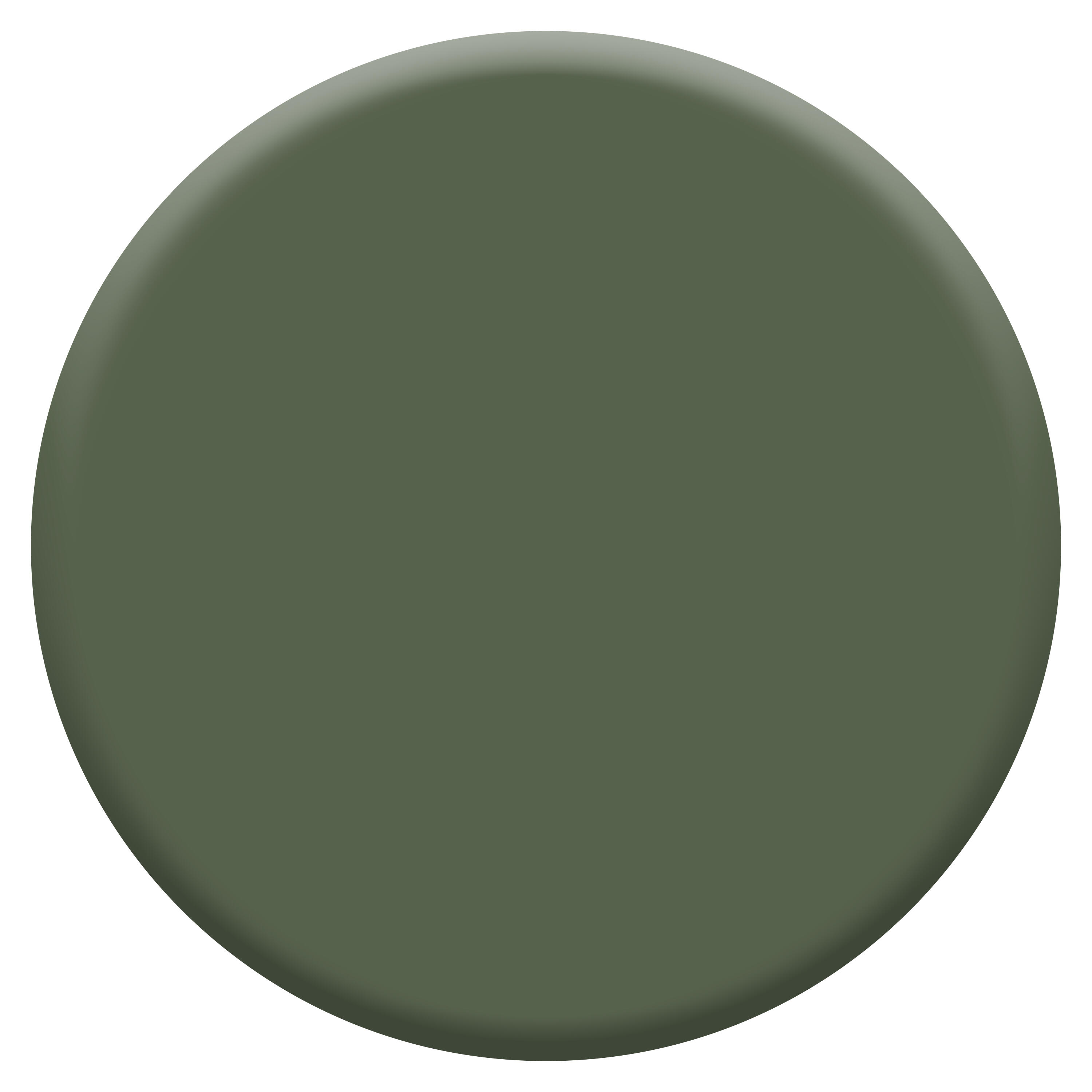 Peinture boiserie, radiateur vert tropical satin DULUX VALENTINE Valénite acryli - 2